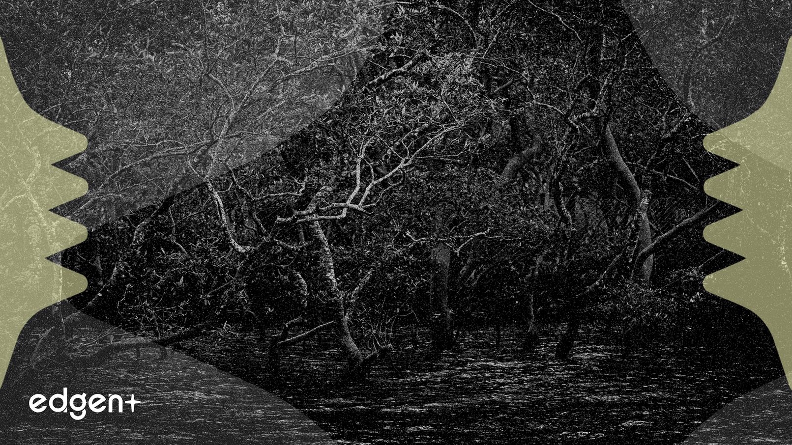 Karbon-X expande sus operaciones de carbono azul a Guinea con un nuevo proyecto de restauración