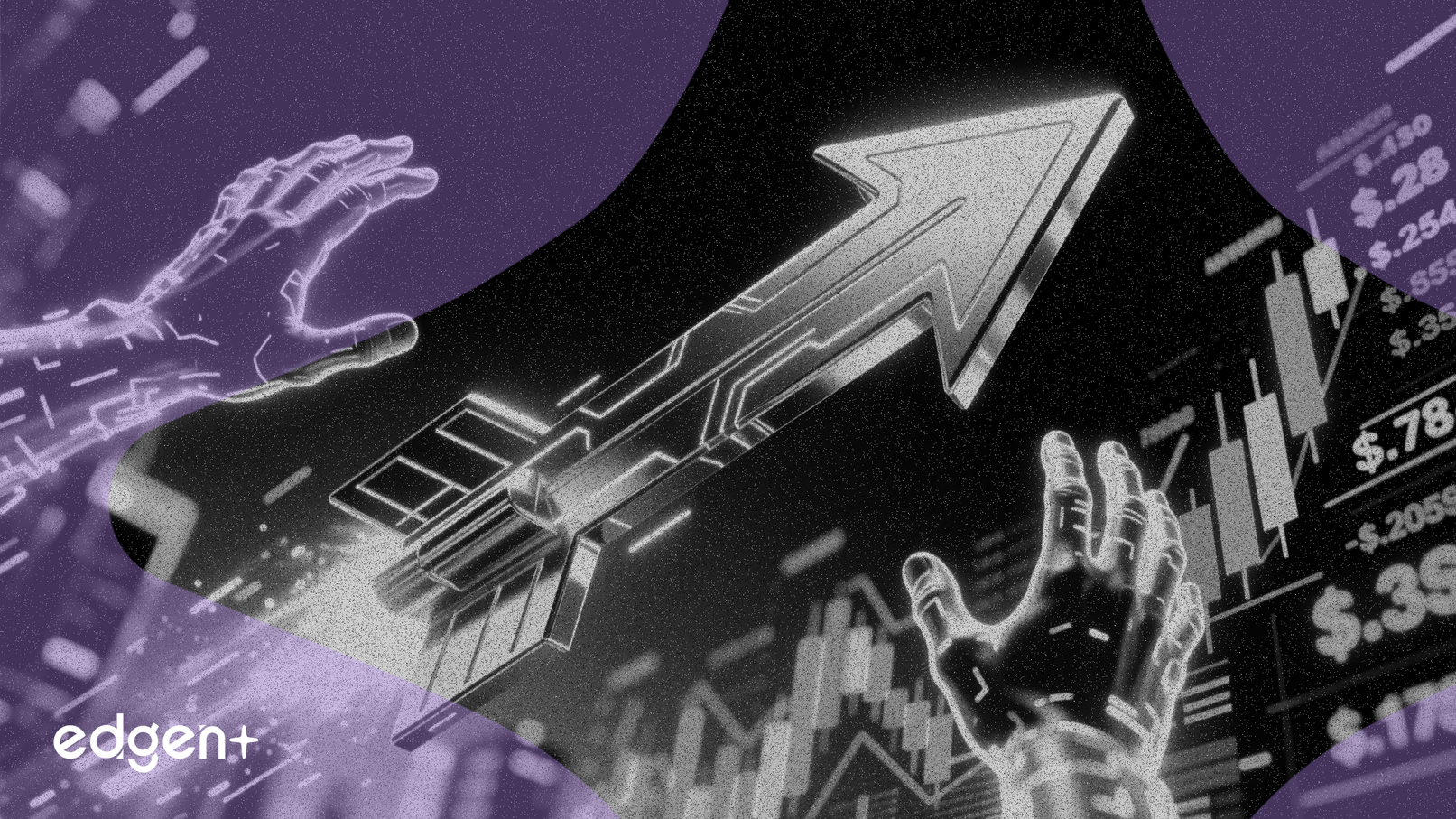 散户情绪与盈利推动市场反弹