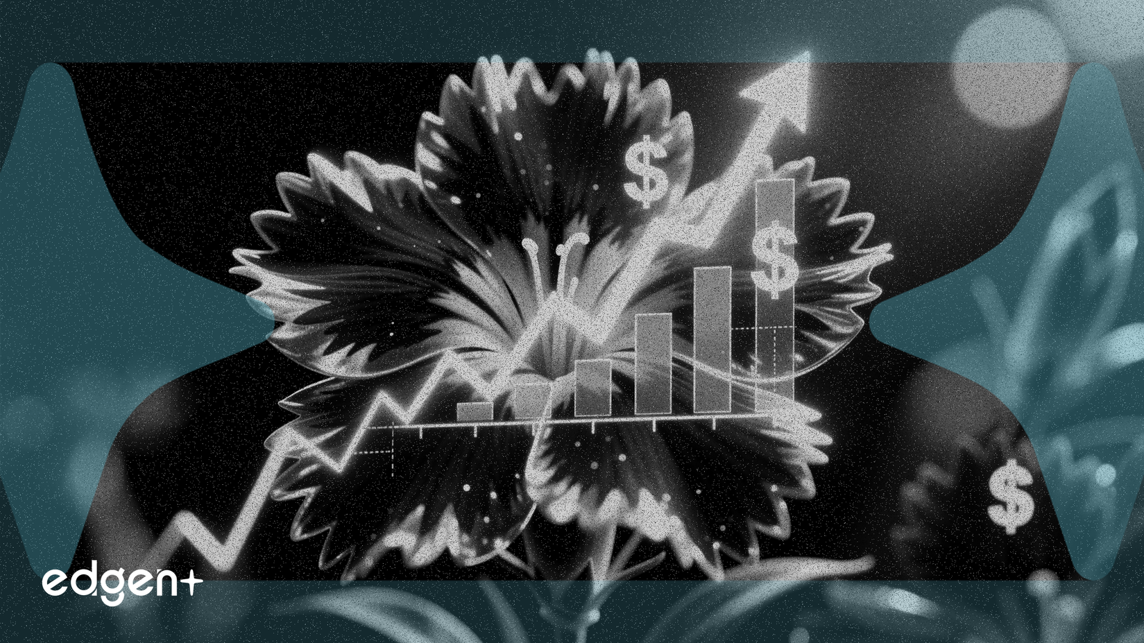 Dianthus 溢价发行 6.25 亿美元公开募股