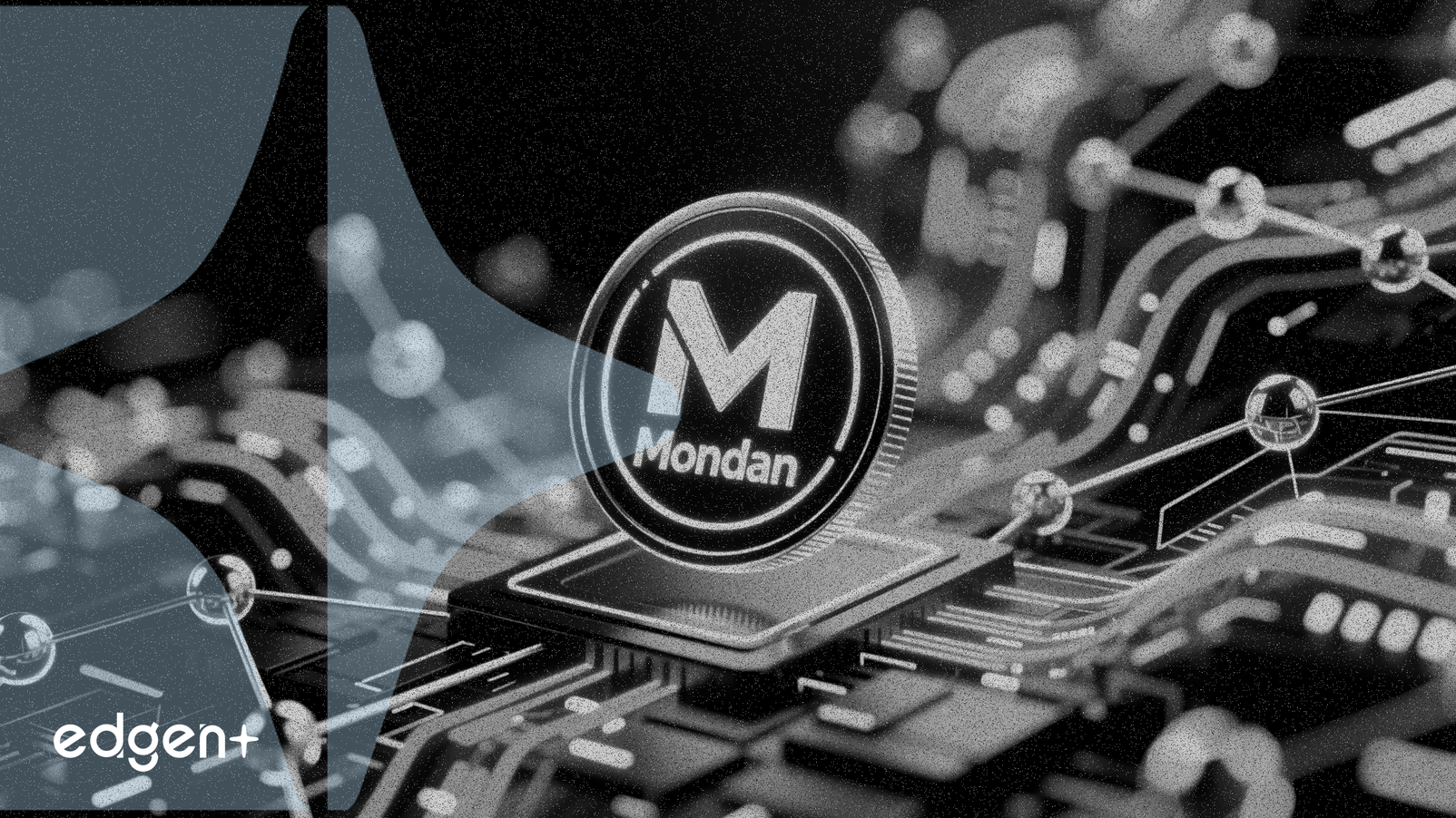 Monadトークン、エコシステム拡大で13%上昇