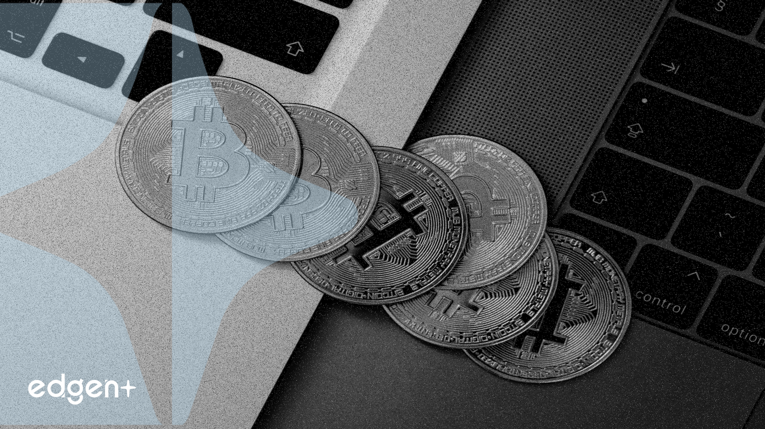 비트겟 월렛, 다중 블록체인에 걸쳐 스마트 머니 추적 기능으로 '골든 도그 레이더' 강화