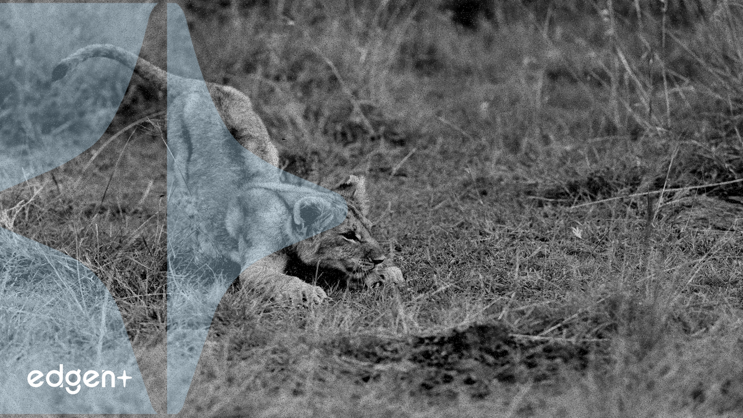 Brazil Central Bank Officials to Discuss Bitcoin Reserves