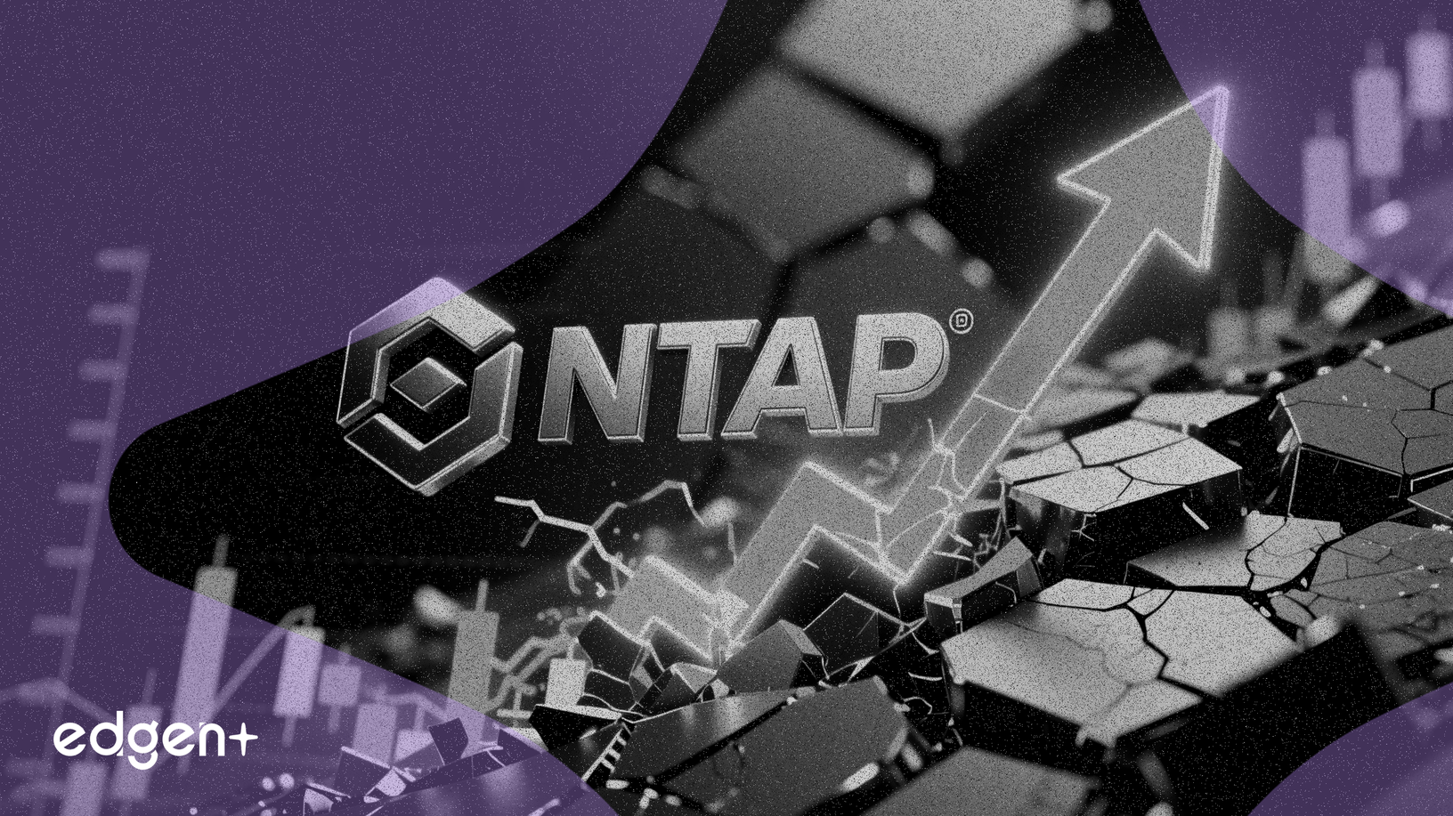 NetApp (NTAP) có vẻ bị định giá thấp 46% sau một năm giảm giá
