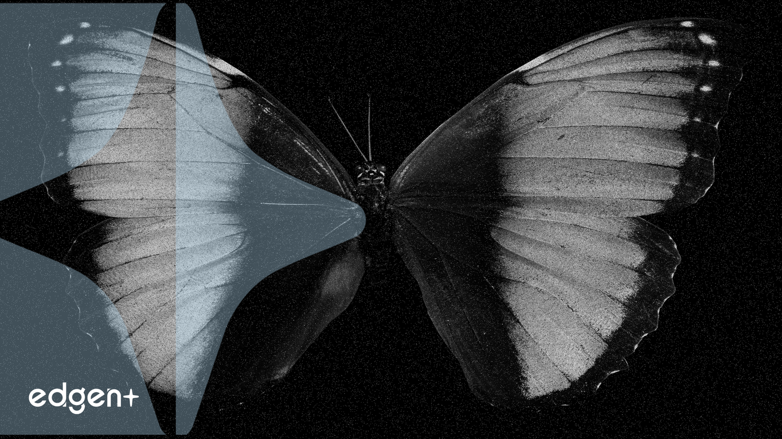 幣安將於2025年10月3日上線Morpho (MORPHO) 代幣，並同步進行HODLer空投