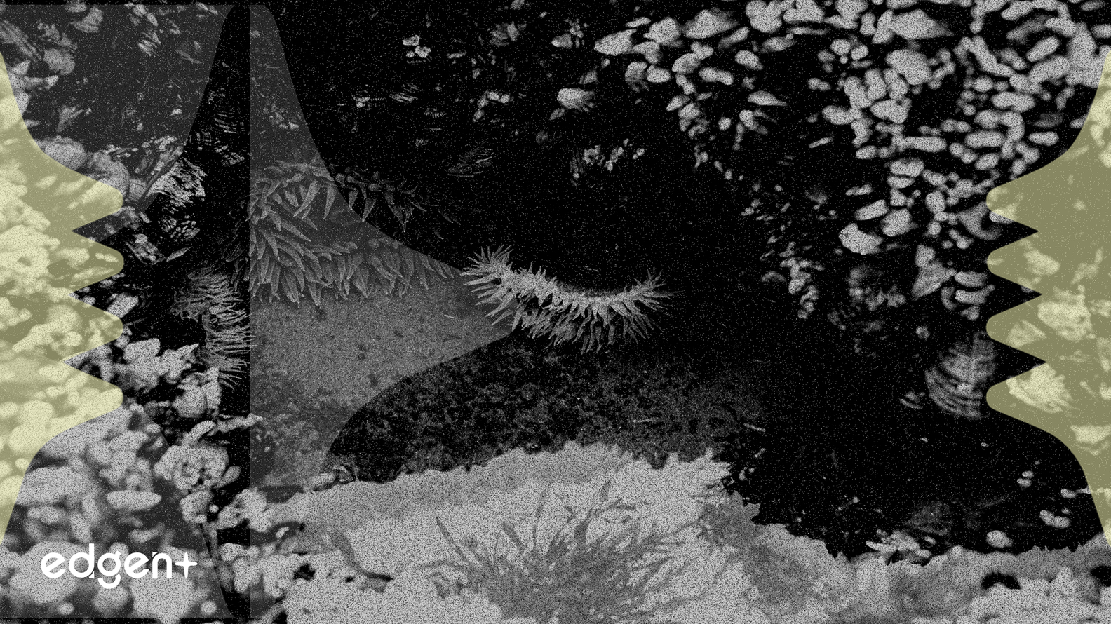 美國與中國爭奪太平洋礦產，目標打破稀土90%的控制權