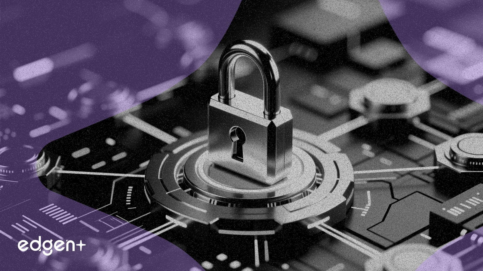 Lumentum Bolsters Board with Thad Trent Appointment