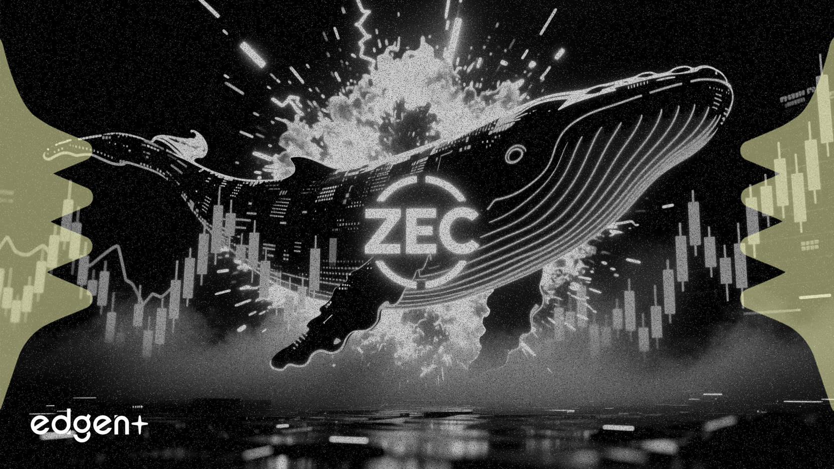 Cá voi lãi 14,7 triệu USD từ giao dịch ZEC đòn bẩy 10 lần