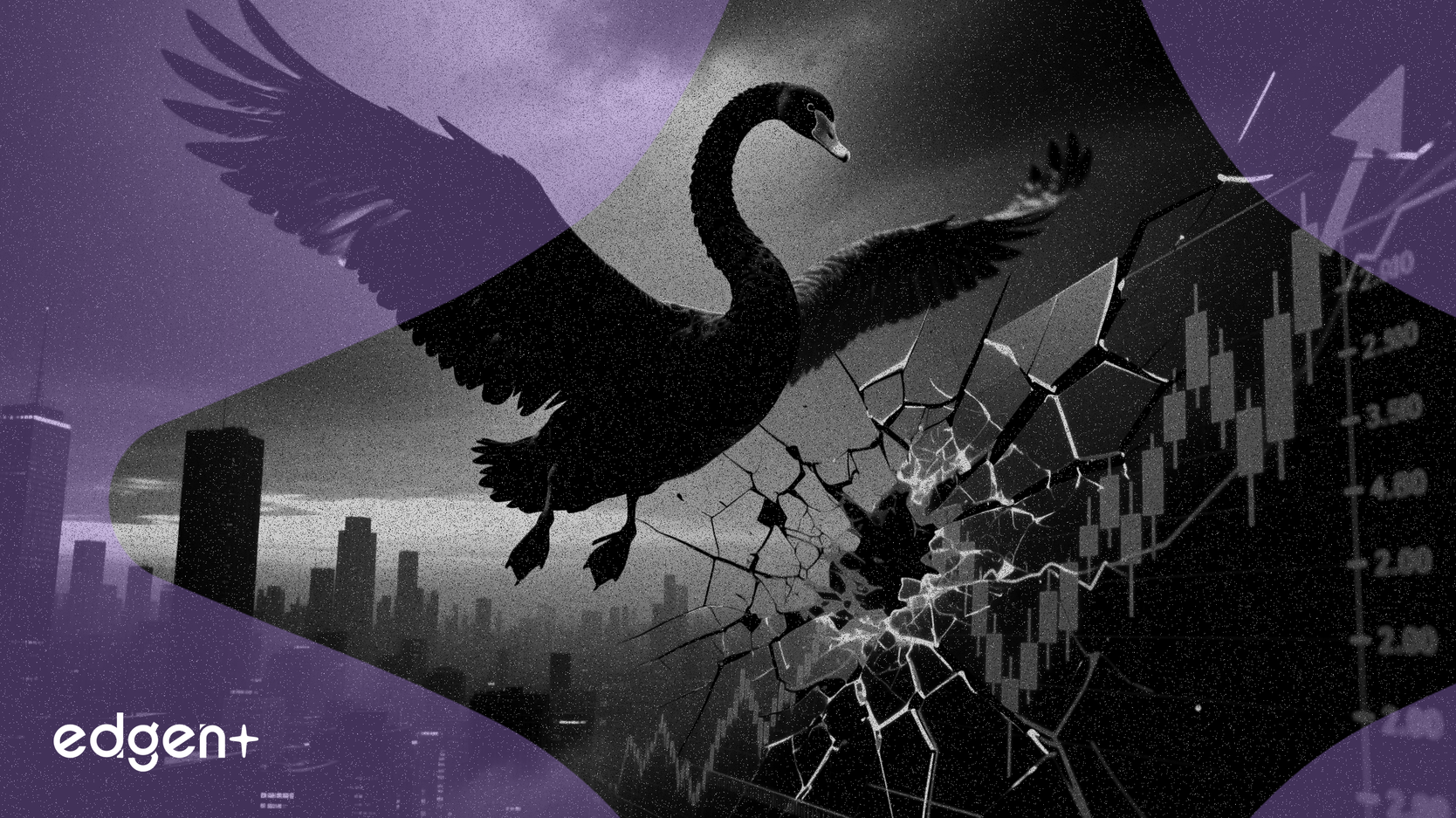 専門家が警鐘：3年間上昇市場の後に「ブラックスワン」のリスク