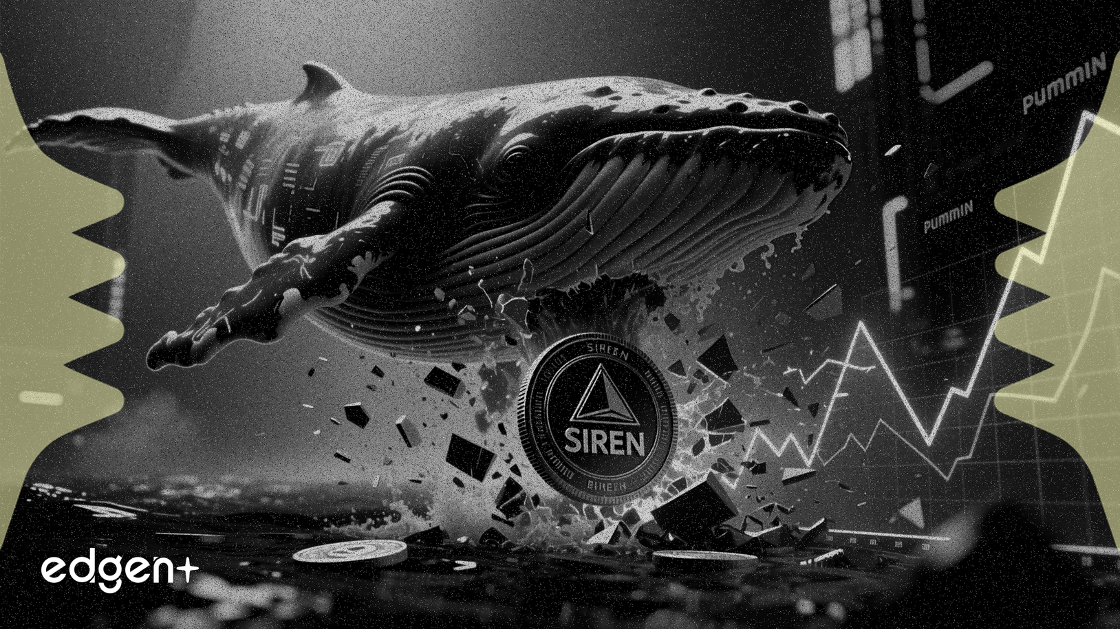 巨鲸抛售100万SIREN，引发价格暴跌20%