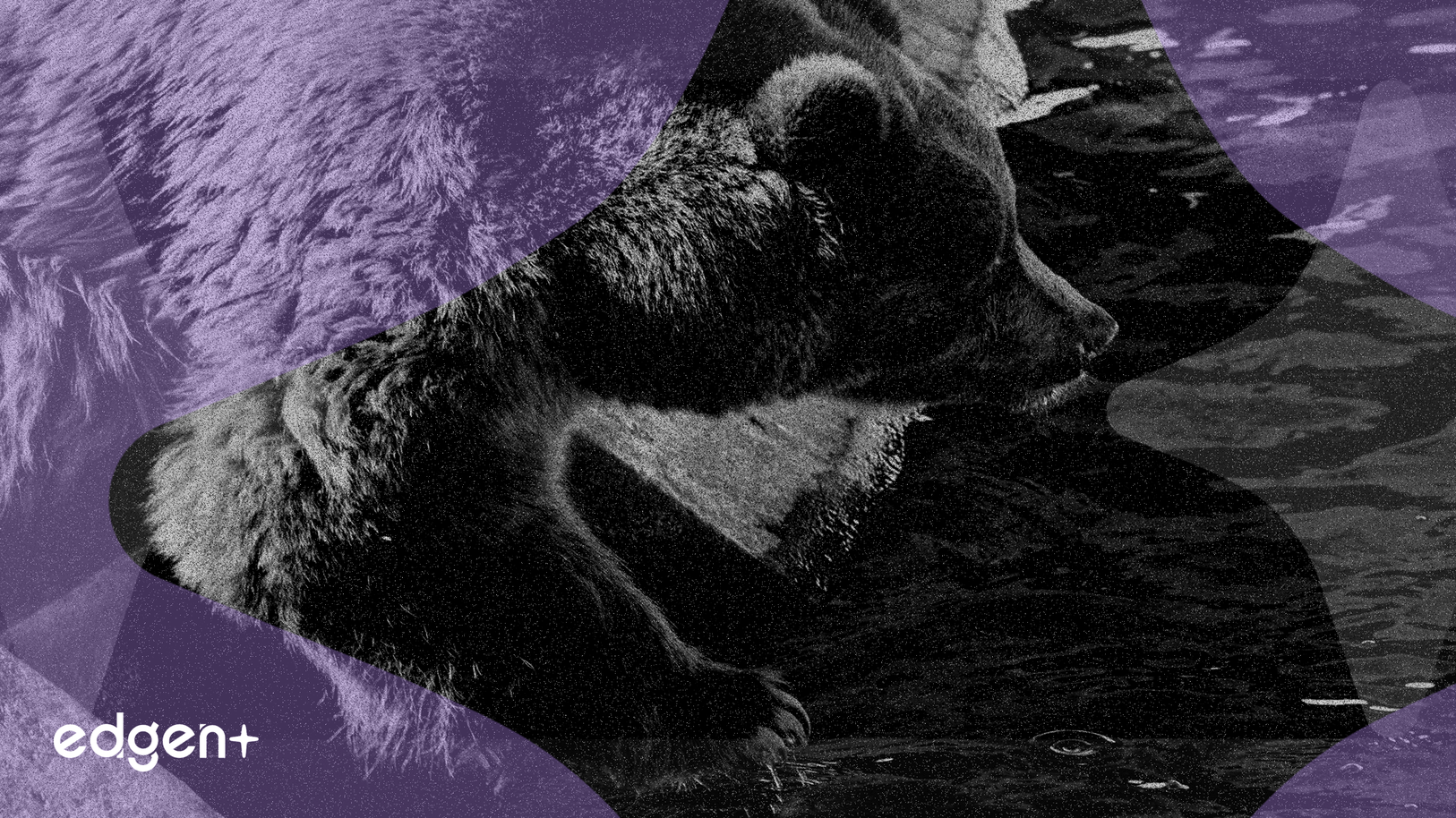 Burry Shorts Palantir, Cites Unsound Valuation