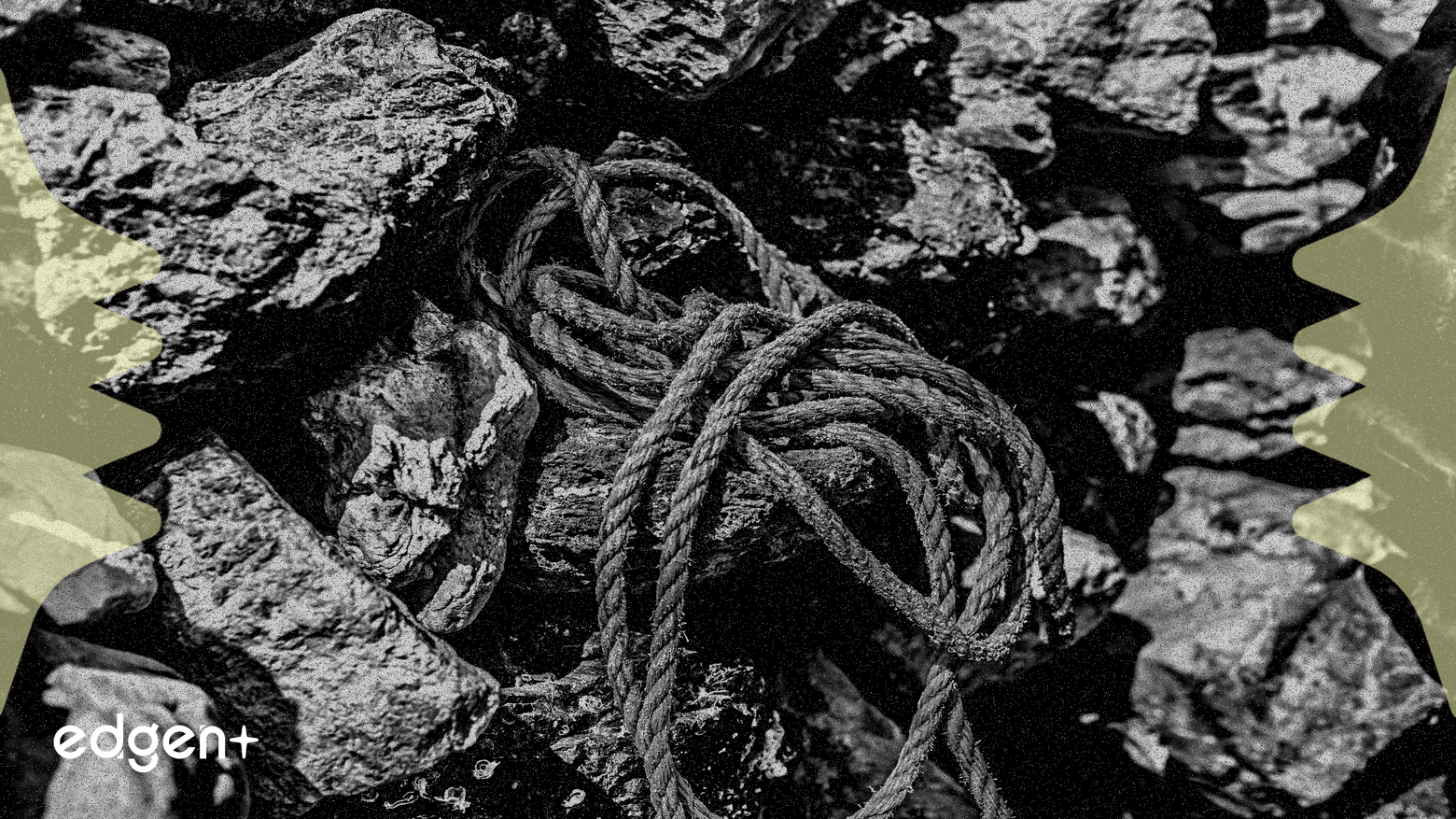 惠普企業展現實力,科技行業應對供應鏈變化