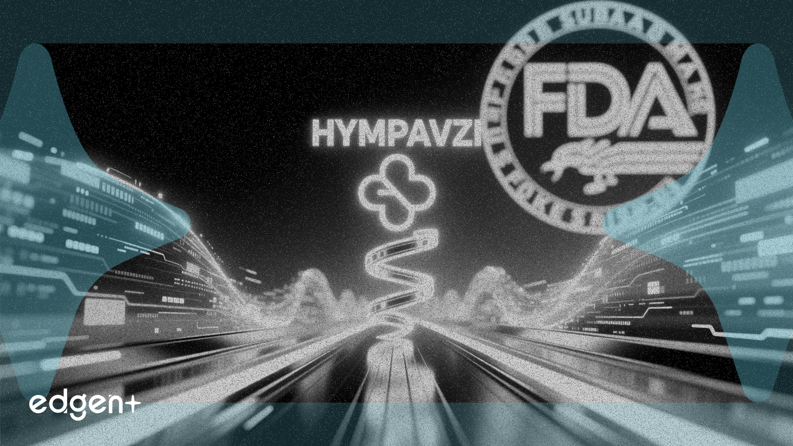 ファイザーの血友病治療薬HYMPAVZI、FDA迅速承認経路に指定