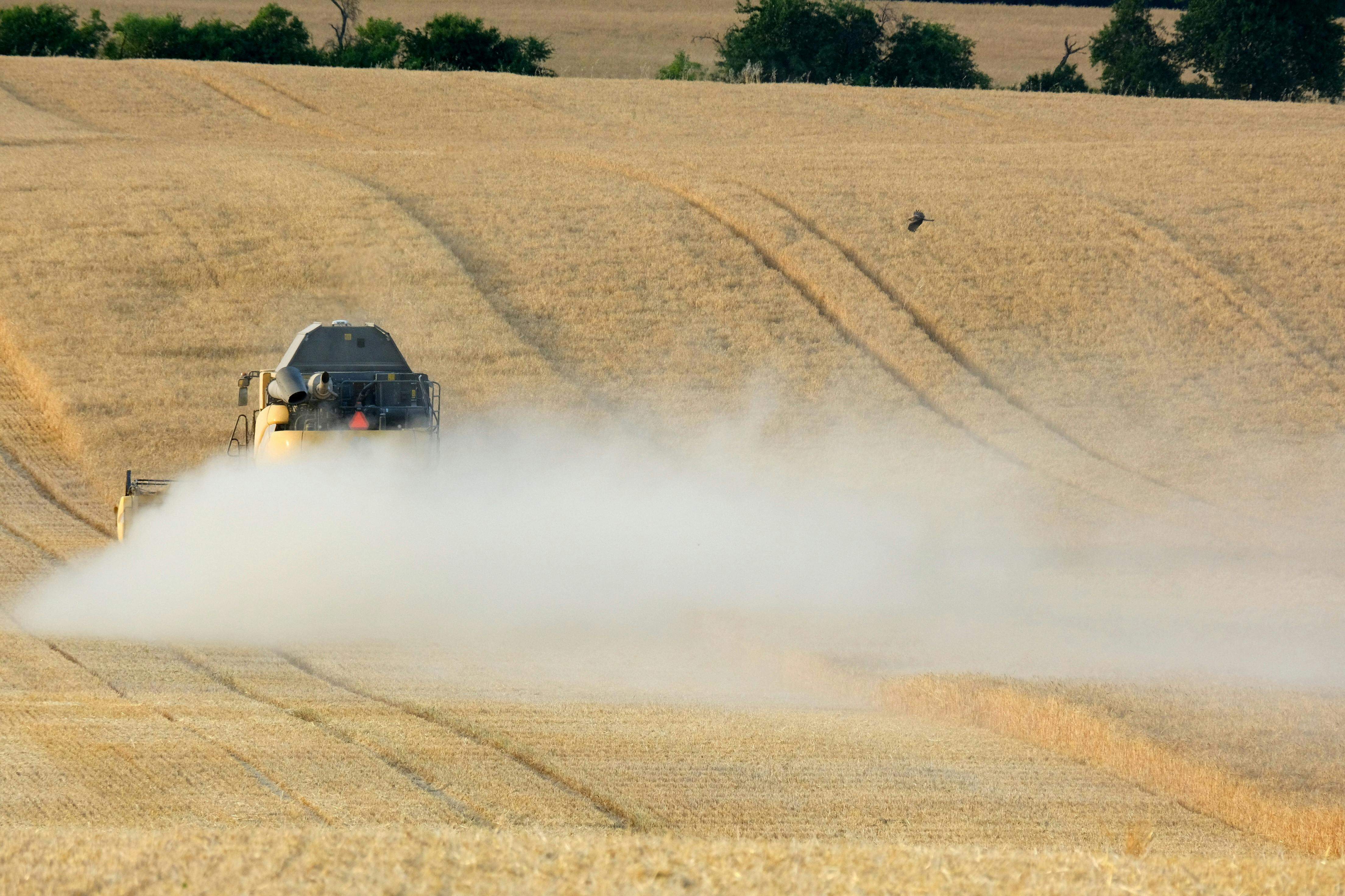 Corteva (CTVA) navega la especulación de ruptura en medio de una perspectiva financiera mejorada
