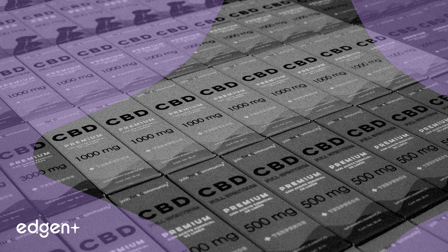 Las acciones de Tilray Brands experimentan volatilidad en medio de esperanzas de reclasificación y escrutinio financiero