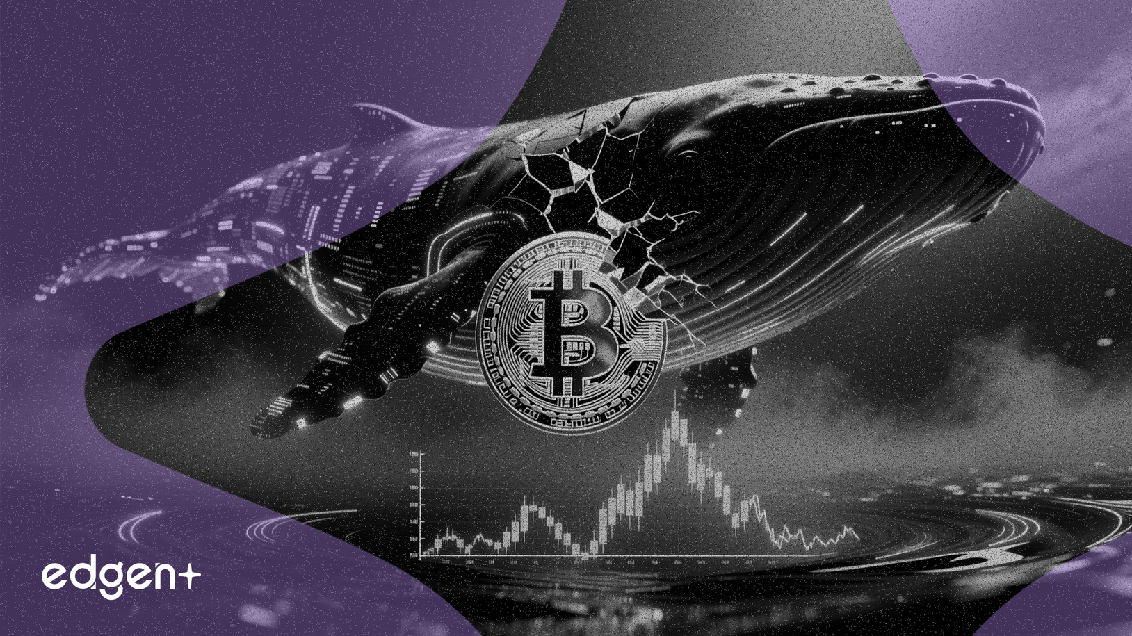 比特幣巨鯨調倉，市場信心不足