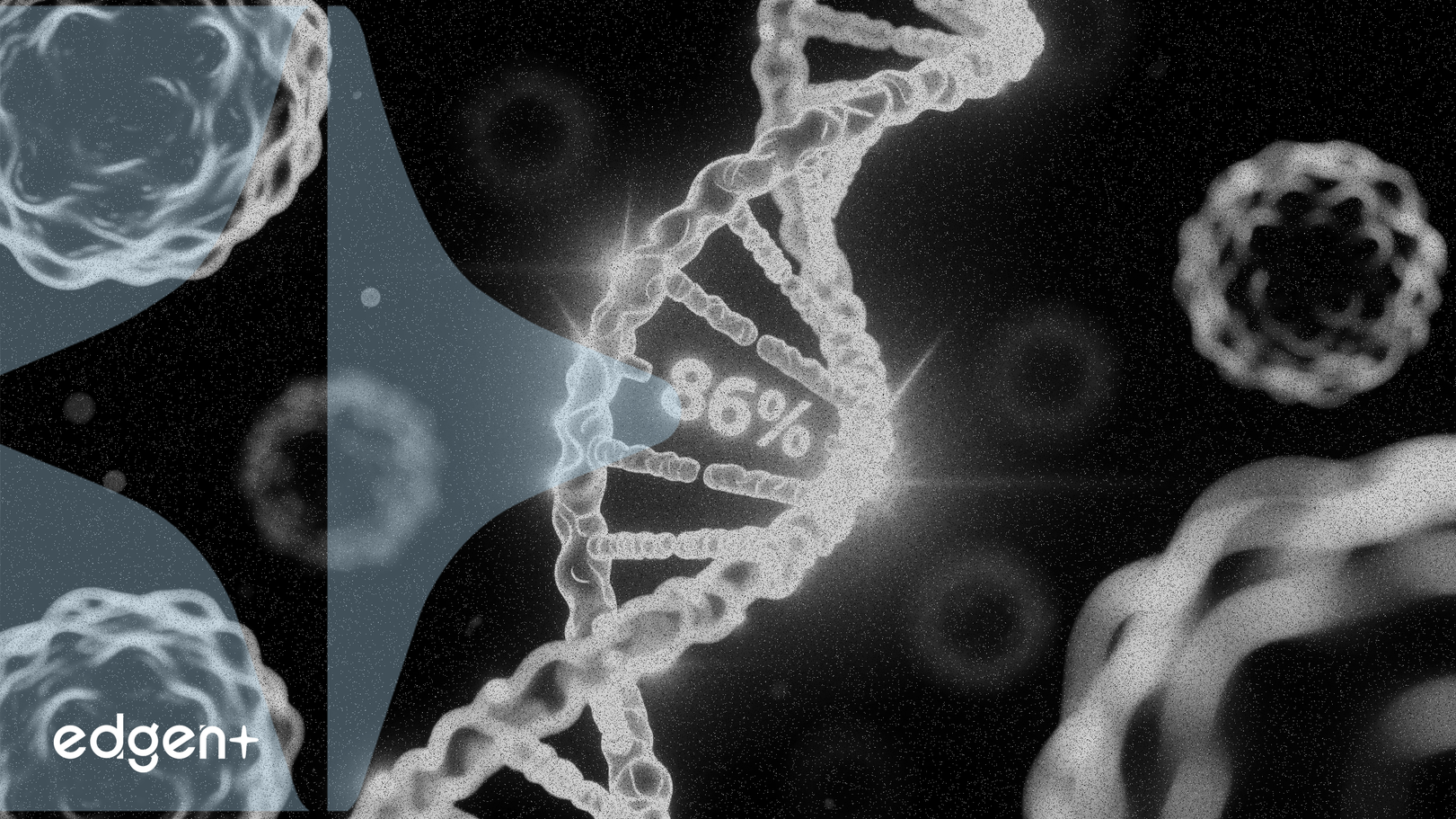 Citius Oncology informa una tasa de respuesta del 86% en ensayo de linfoma