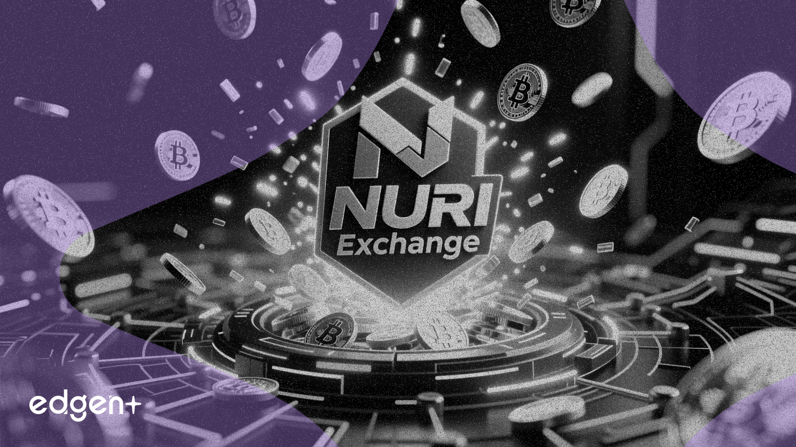 Sàn giao dịch NURI xác nhận Airdrop cho các nhà cung cấp thanh khoản Scroll