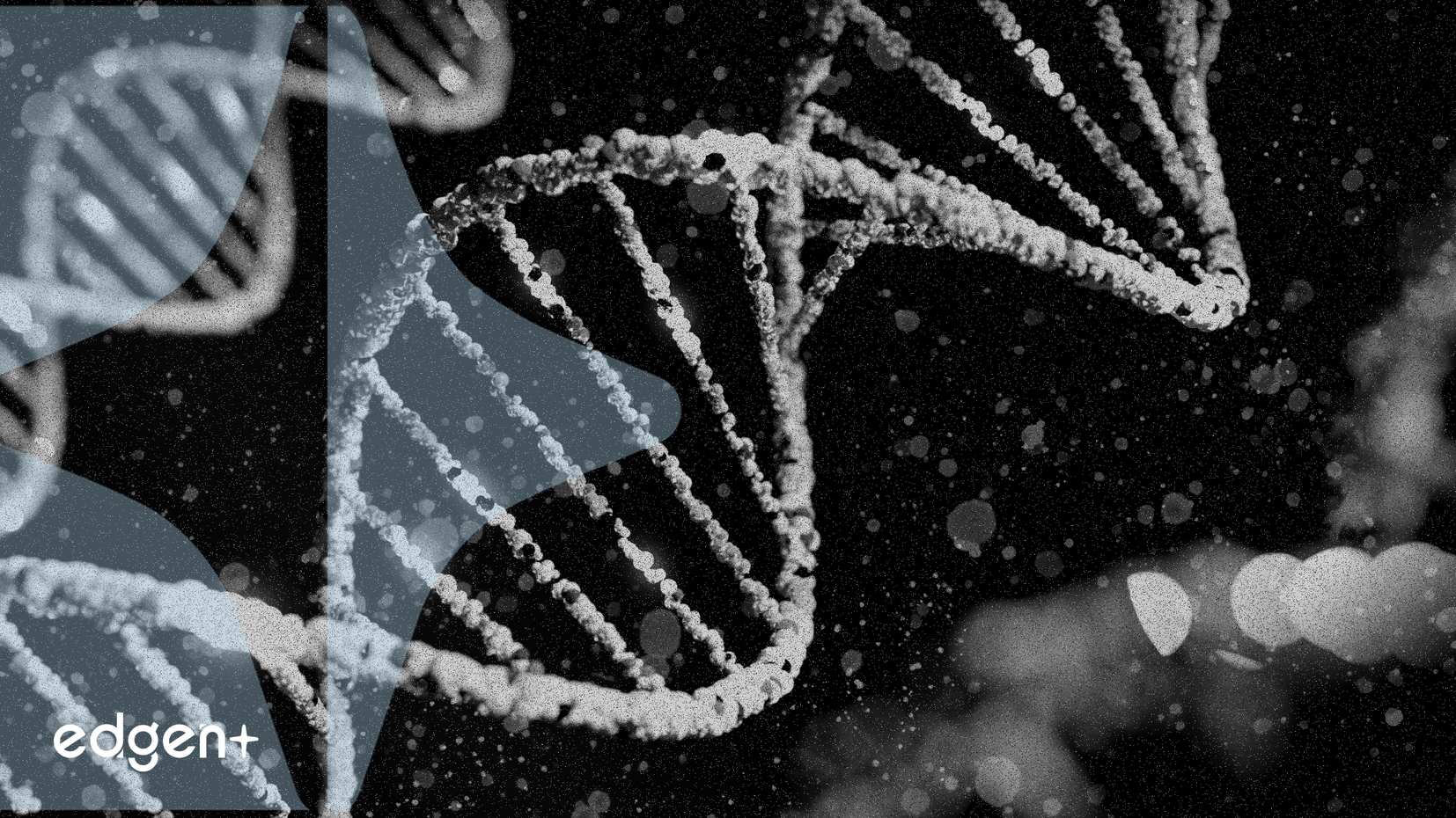 CytomX Therapeutics Stock Surges 29.1% on Positive Phase 1 Data for Cancer Drug CX-801