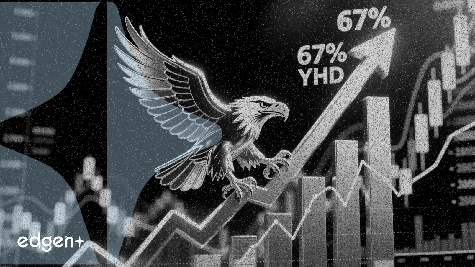 아메리칸 이글 주식, 상향 조정된 실적 전망에 힘입어 연초 대비 67% 수익률 기록