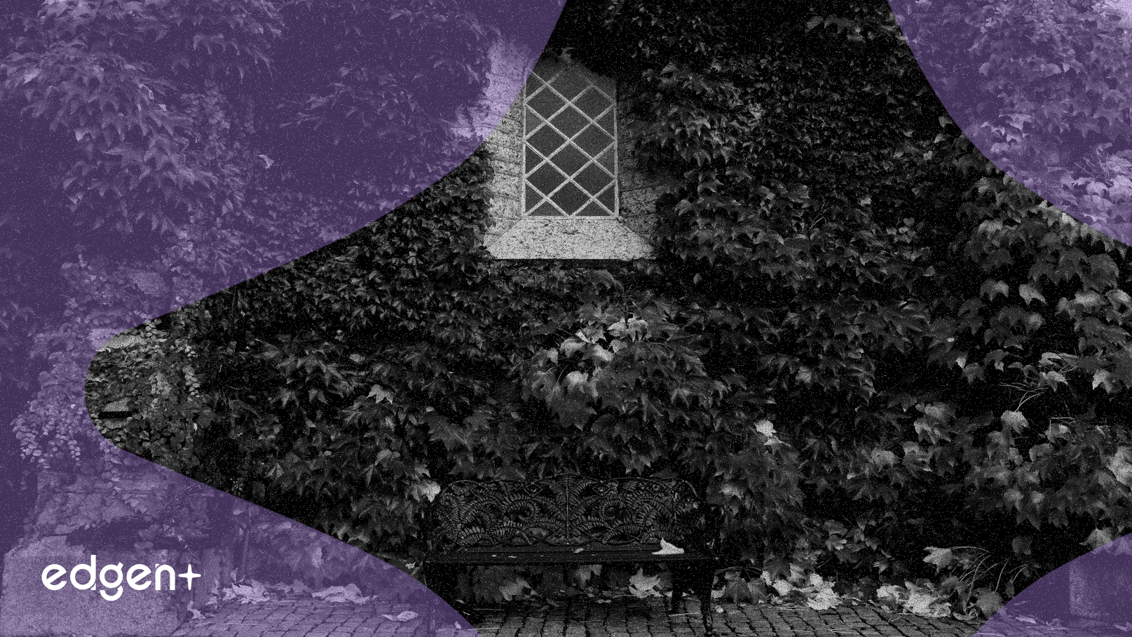 Bitcoin et Ethereum affichent des tendances de performance constantes en novembre