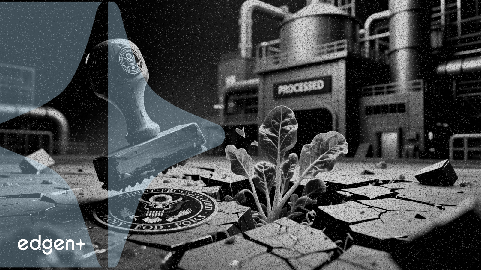 L'administration Trump révise les règles alimentaires américaines, ciblant l'industrie des aliments transformés