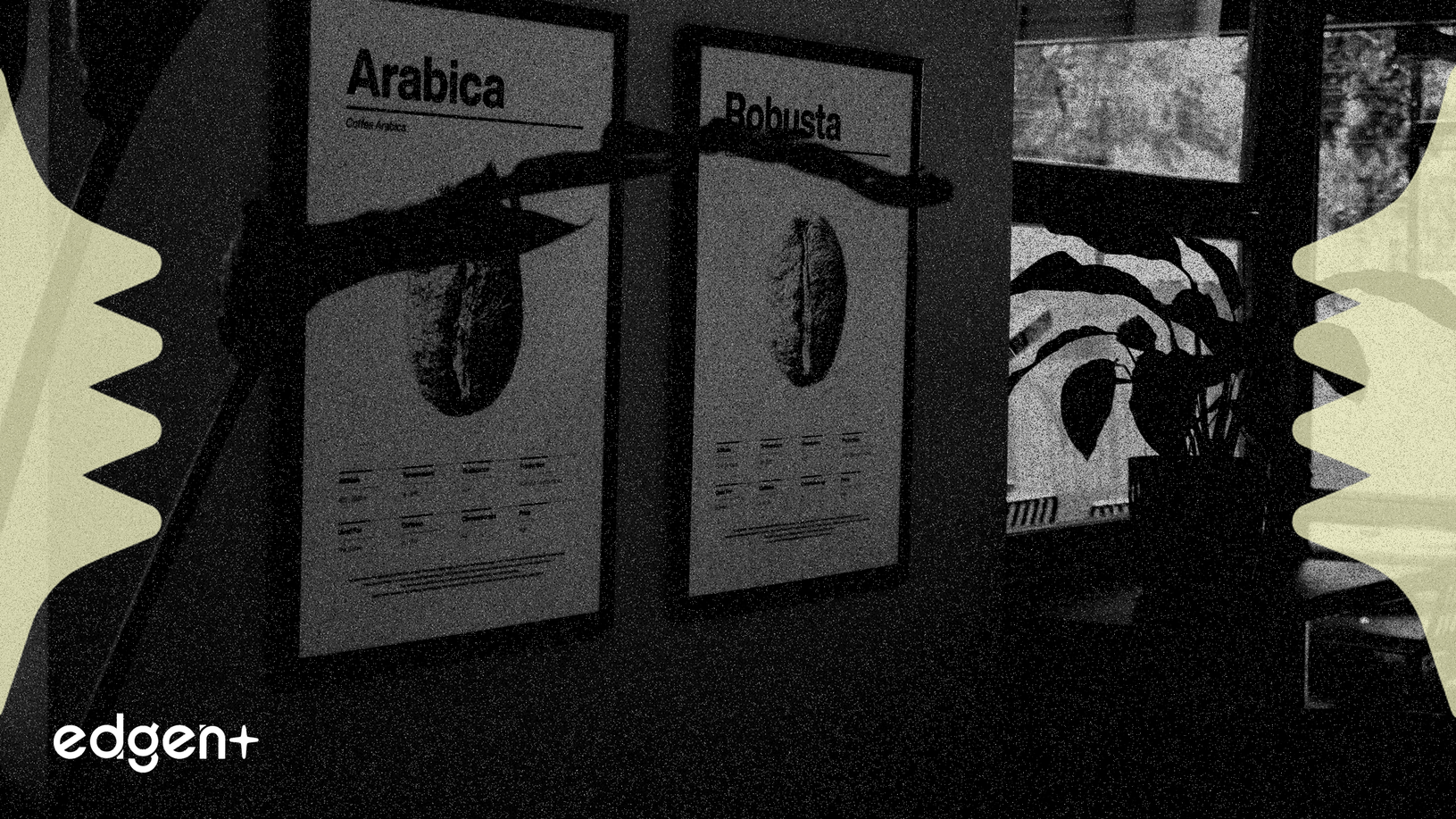 安斯泰來因抗癌藥成功年初至今上漲38%，引發估值爭議