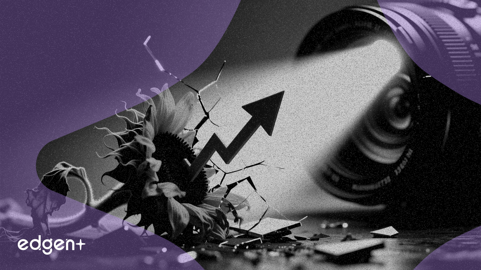 Sunflower chute de 20% après l'ouverture d'une enquête par la CSRC