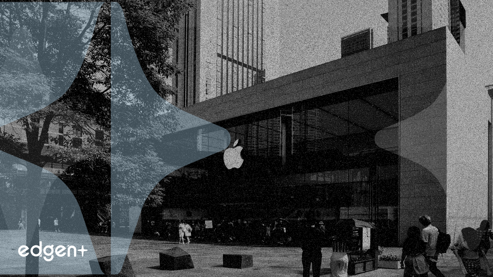 Apple Stock Rally Defies Broad Tech Instability