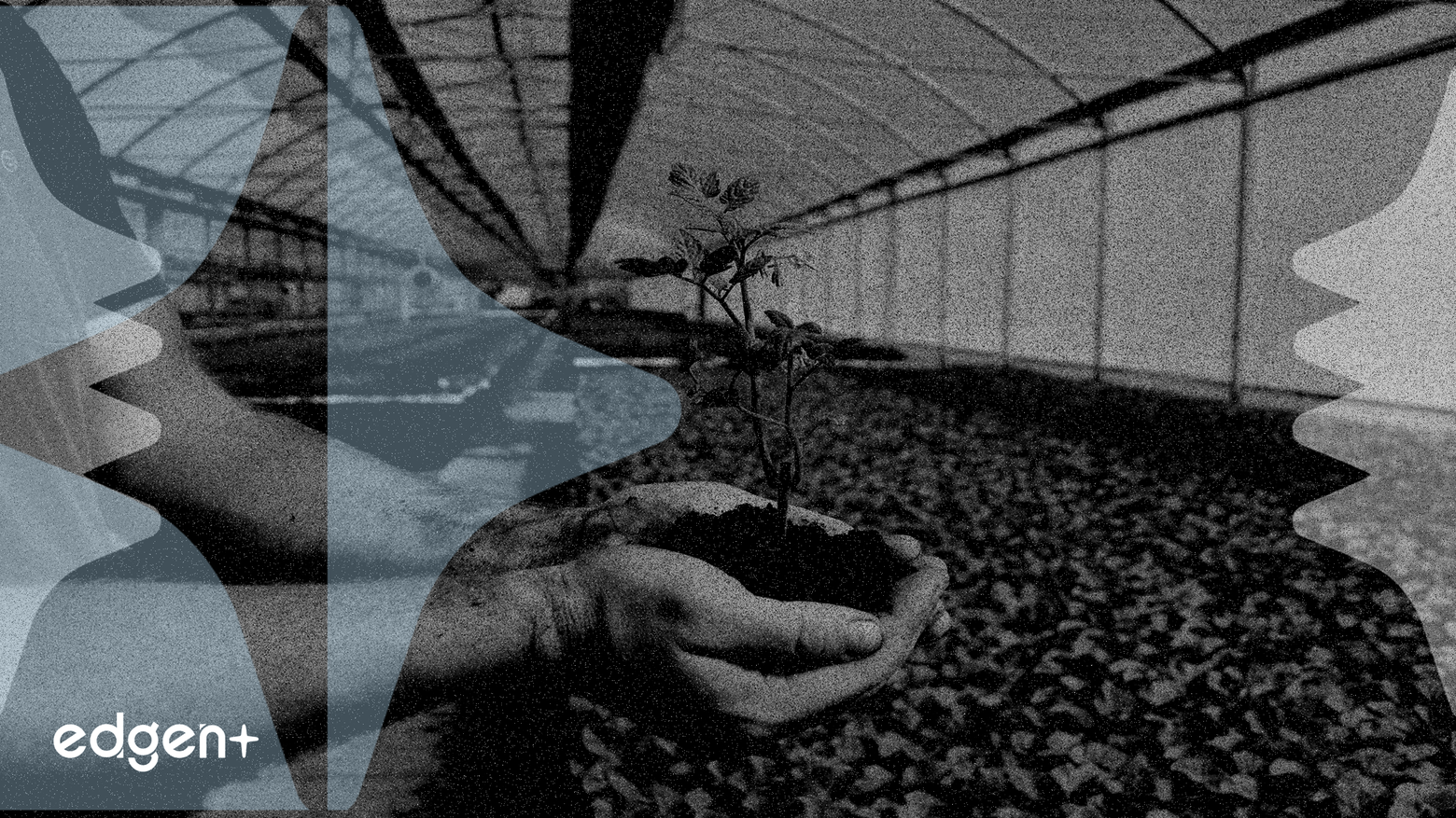 Winall Hi-tech suspend sa cotation après la conclusion d'une offre publique d'achat de 2,25 milliards de yuans