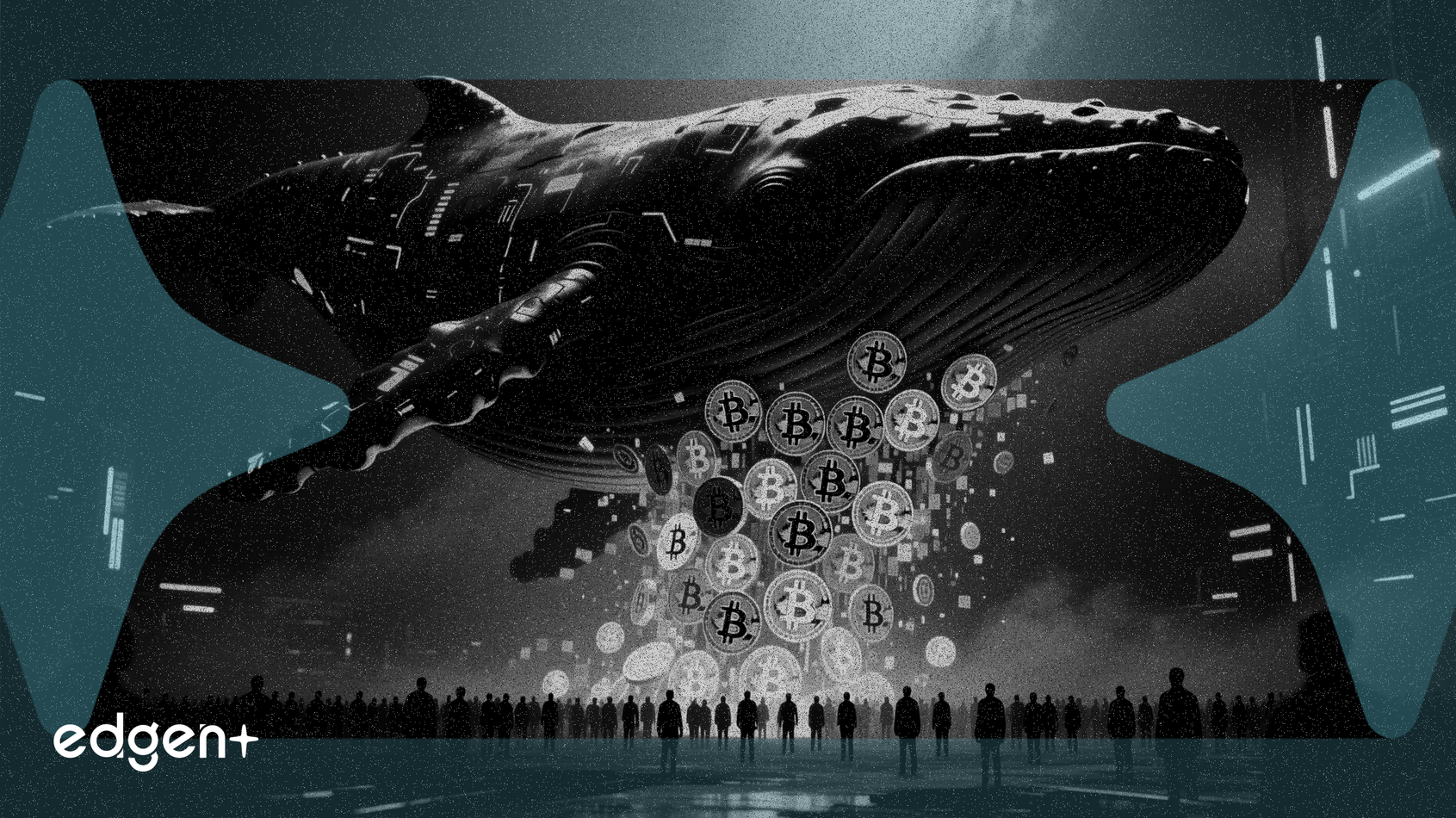 散户冷淡之际，大额持有者转移比特币