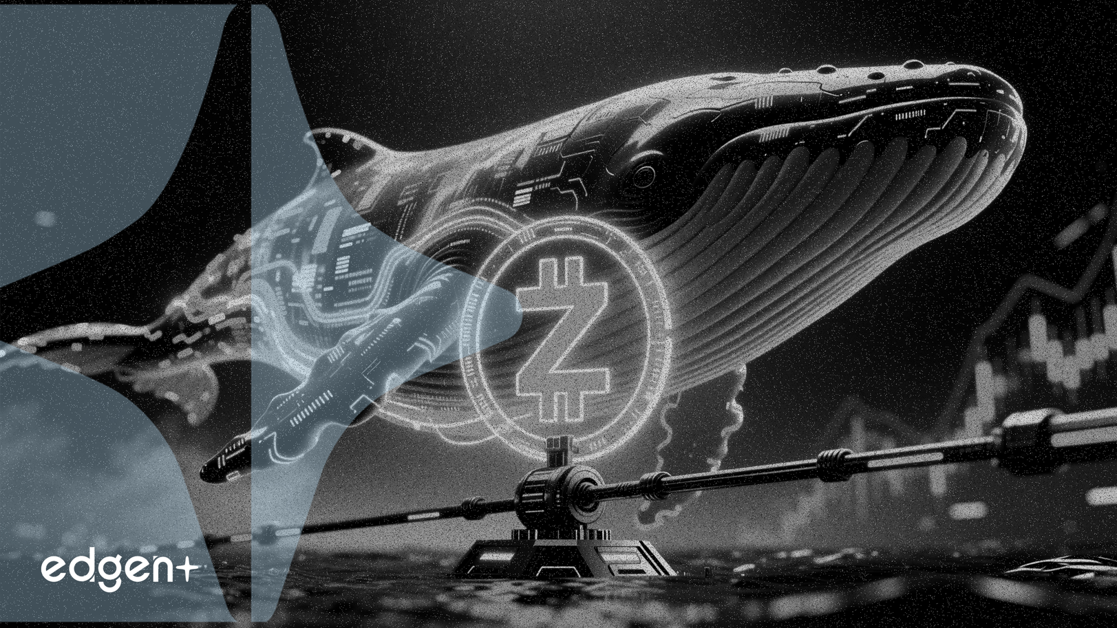 Las ballenas inyectan $31 millones en Zcash en el soporte de $400