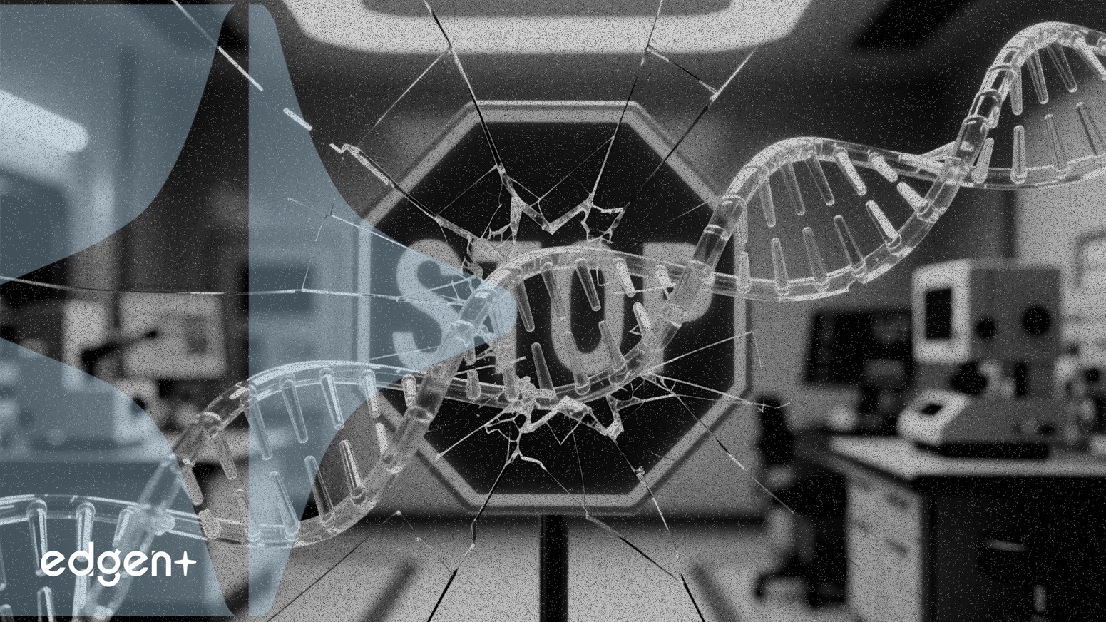 REGENXBIO, FDA 유전자 치료 임상 중단으로 조사 직면