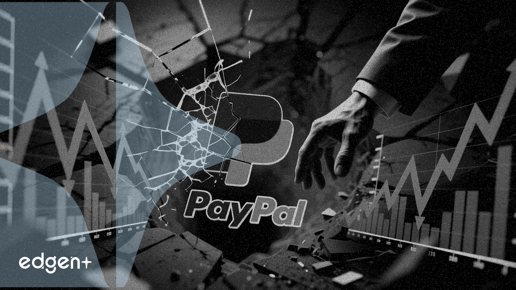 美国参议员在PayPal股价暴跌30%后买入