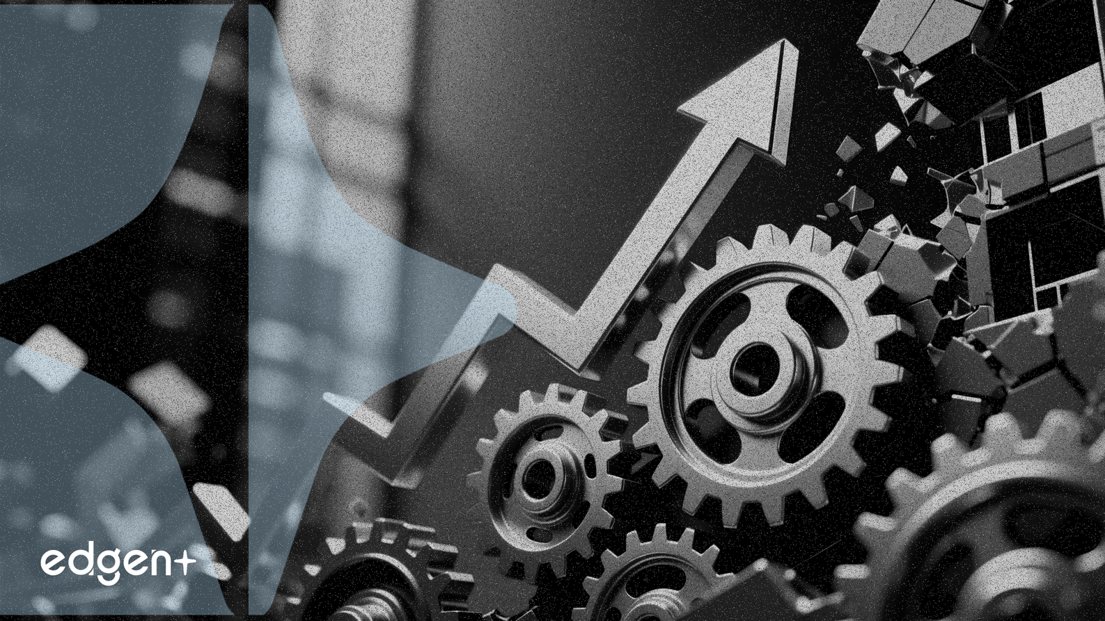 Dorman Products, 성장을 가속화하기 위해 리더십 개편