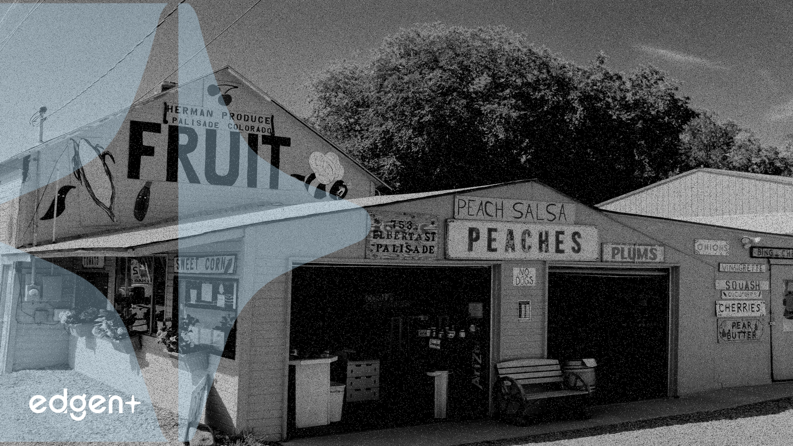 美国财政部行动导致比特币脱离全球M2趋势