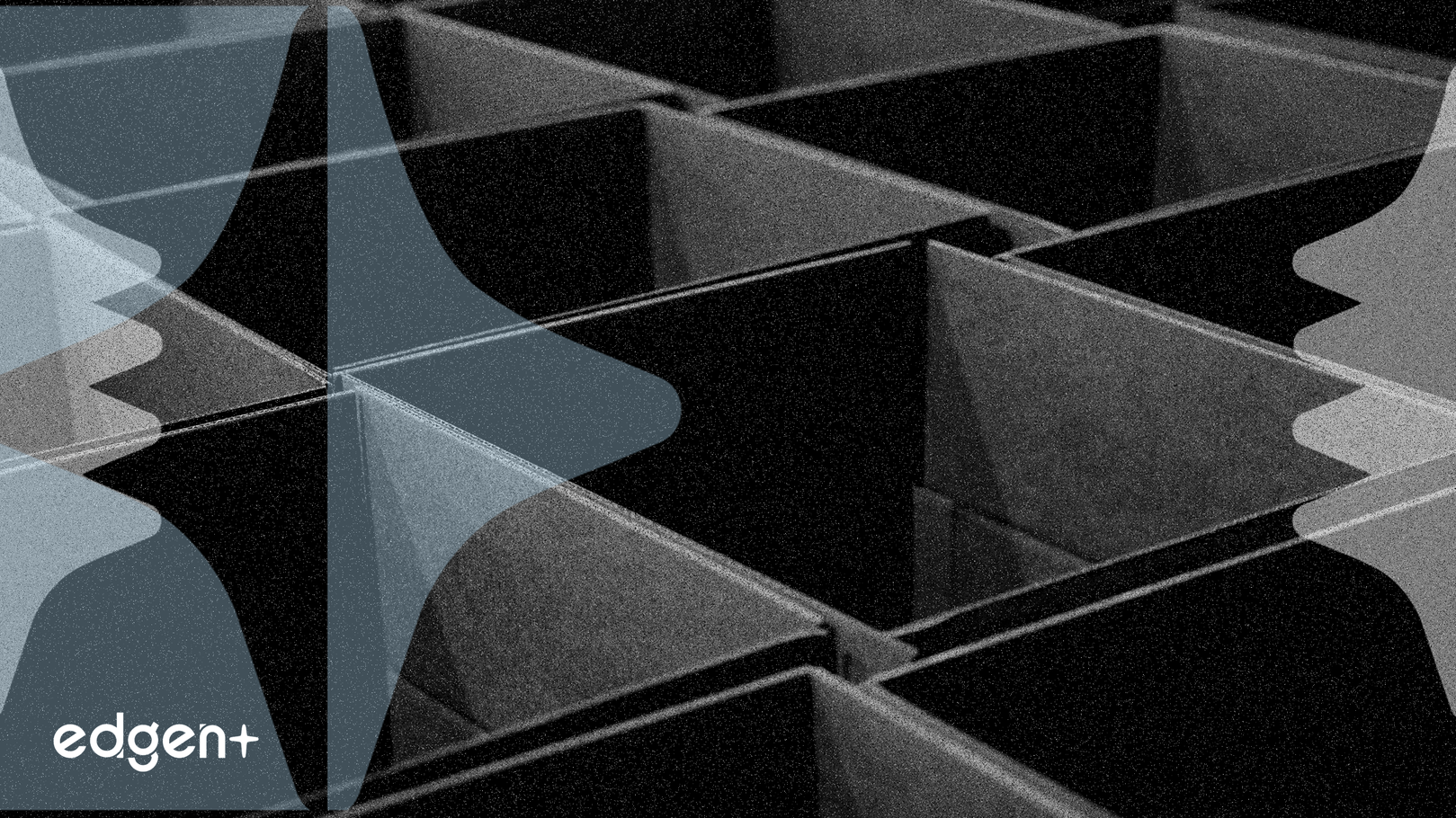 Smurfit Westrock Shares Decline Despite Profit Growth