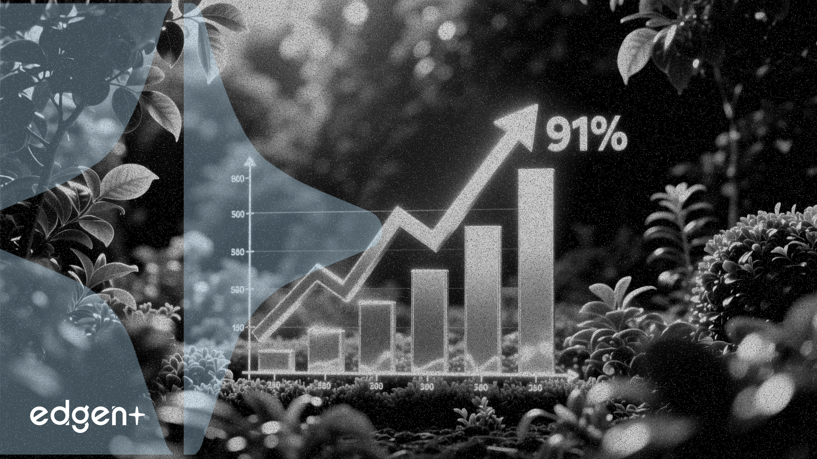 Central Garden 1. Çeyrek EPS'si Tahminleri %91 Aştı