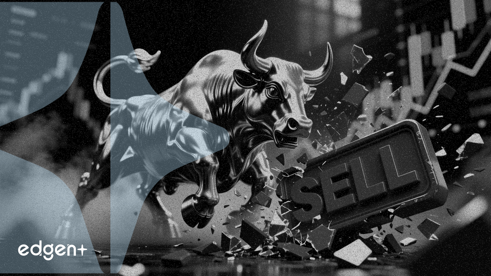 El consenso alcista de los analistas sobre Cava choca con la calificación de "Vender"