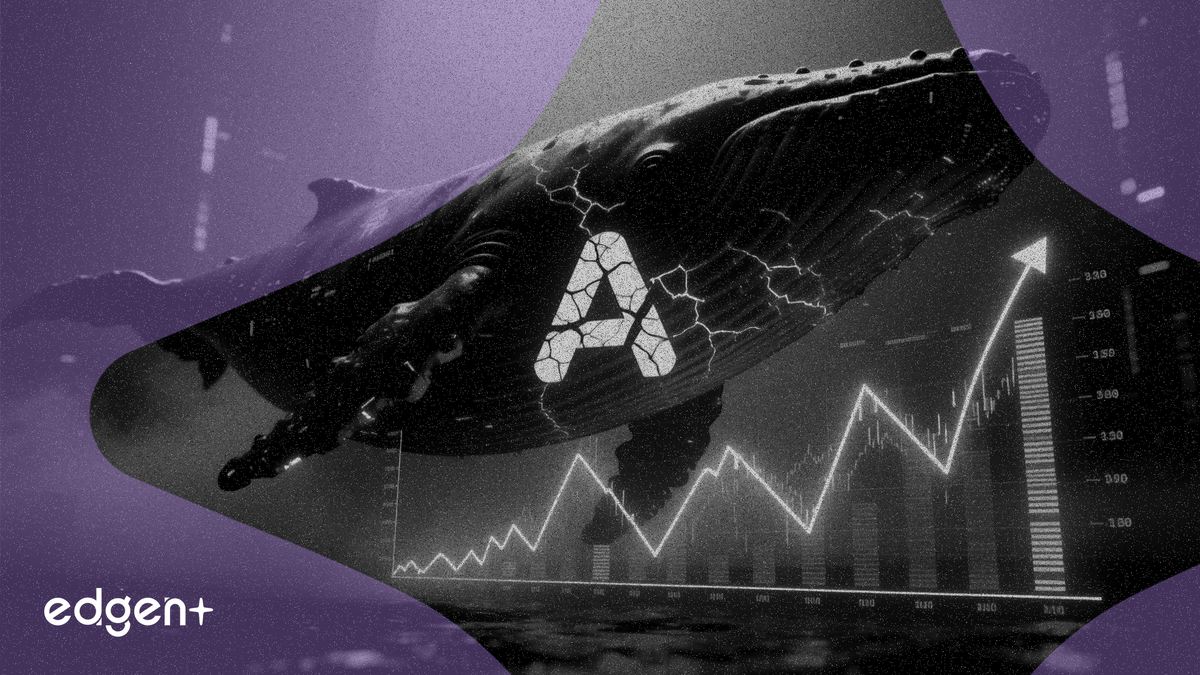 Aave Exchange Reserves Climb by 160,000 as Whales Signal Sell-Off