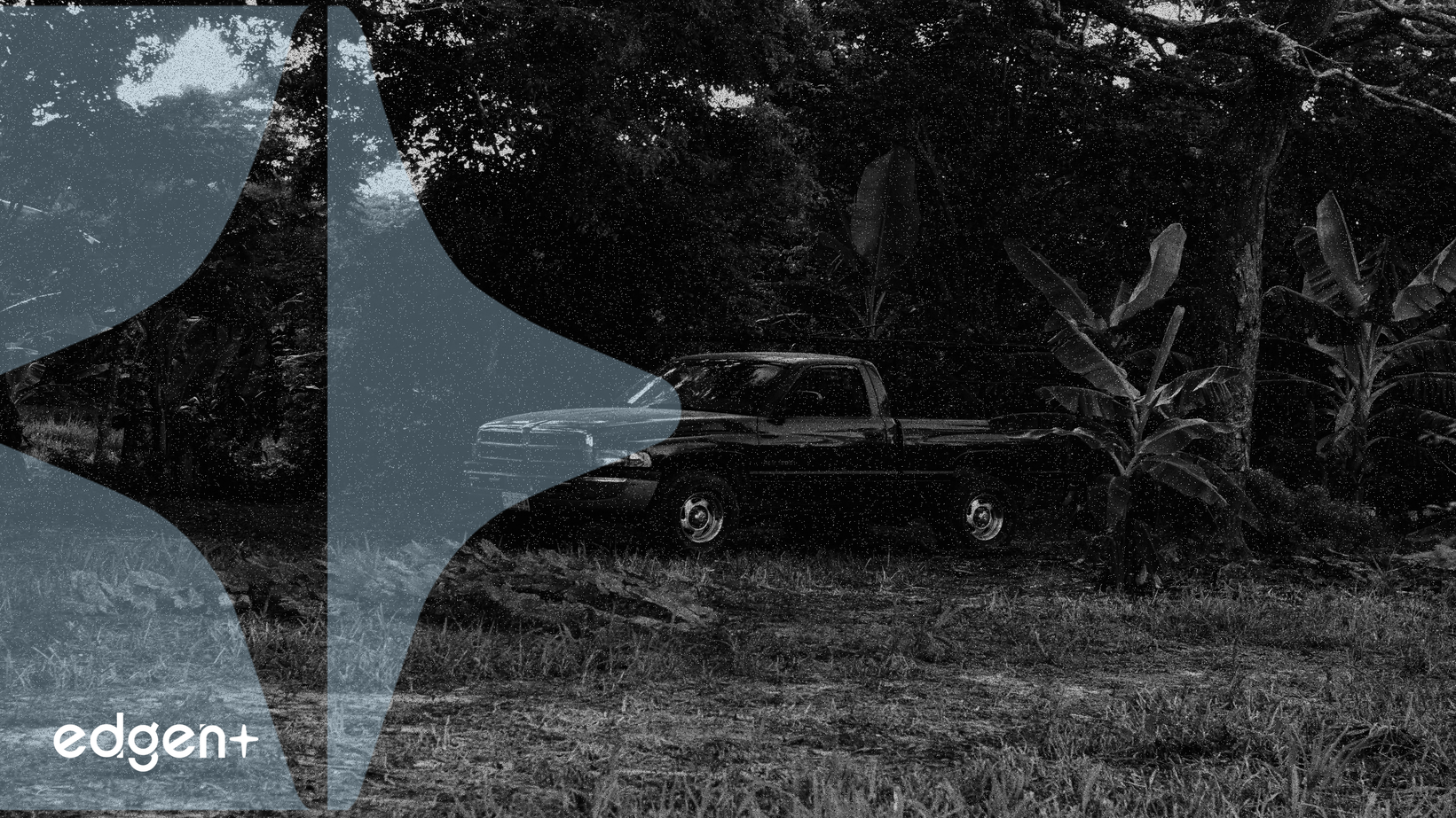 Stellantis Reports 13% Increase in Q3 Shipments, Driven by North American Rebound