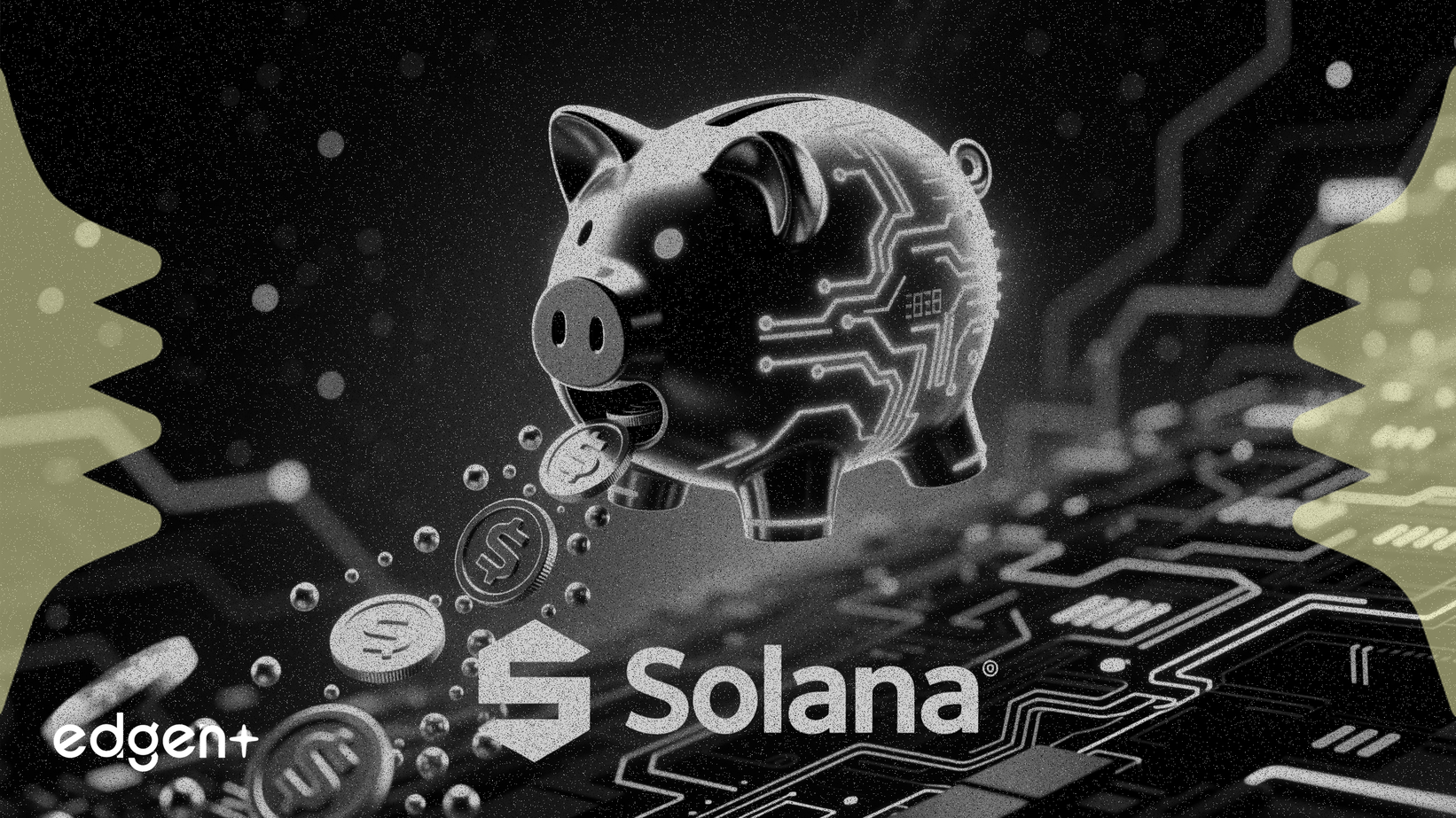PiggyBank 啟動積分系統，為潛在的 Solana 空投鋪路