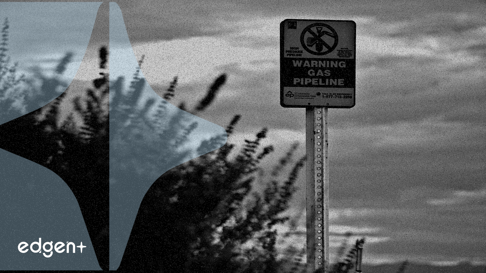 Cổ phiếu Williams Companies đạt mức cao kỷ lục giữa bối cảnh tăng trưởng tăng tốc và mở rộng chiến lược