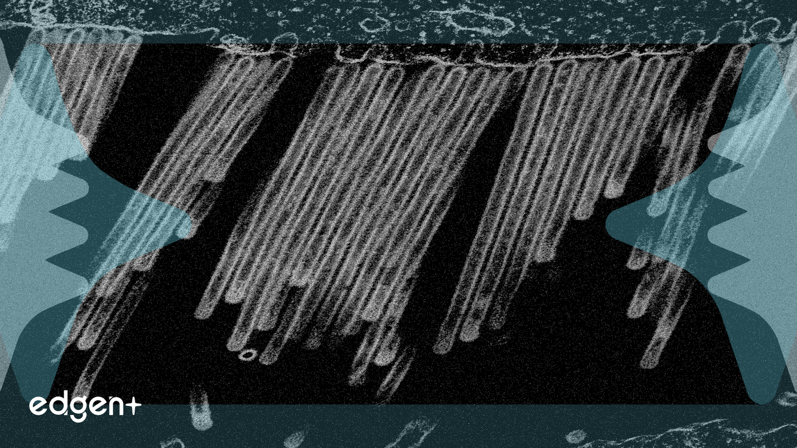 Weyerhaeuser, 2025 Dördüncü Çeyrek Kazanç Açıklamasını 29 Ocak'a Planladı