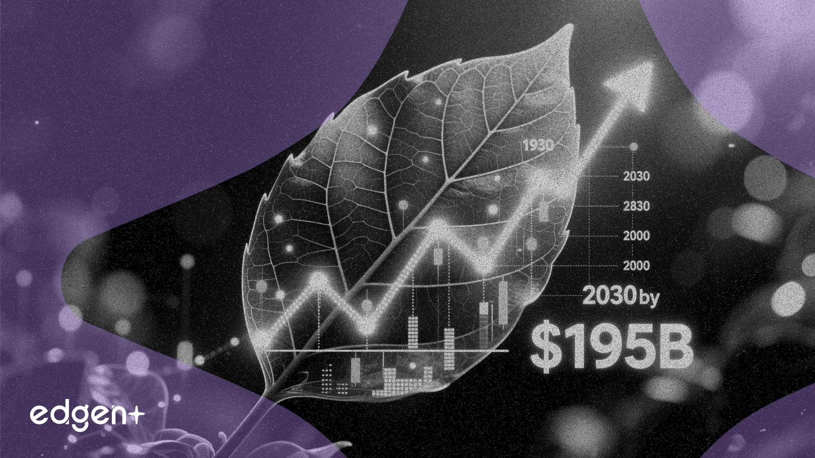 Le marché des biocarburants devrait atteindre 195 milliards de dollars d'ici 2030, avec une croissance annuelle de 5,2%