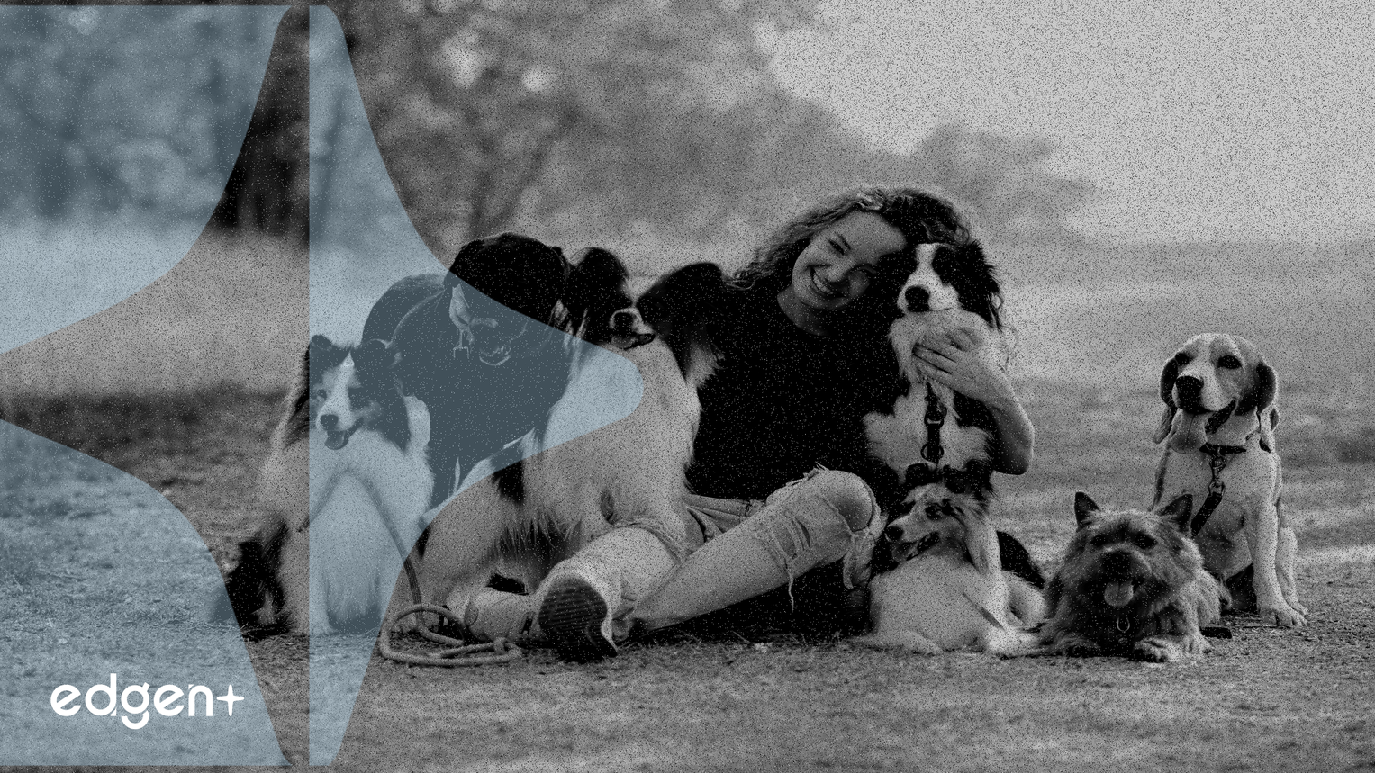 在反做空推动下，天才集团向股东提供0.10美元比特币忠诚支付