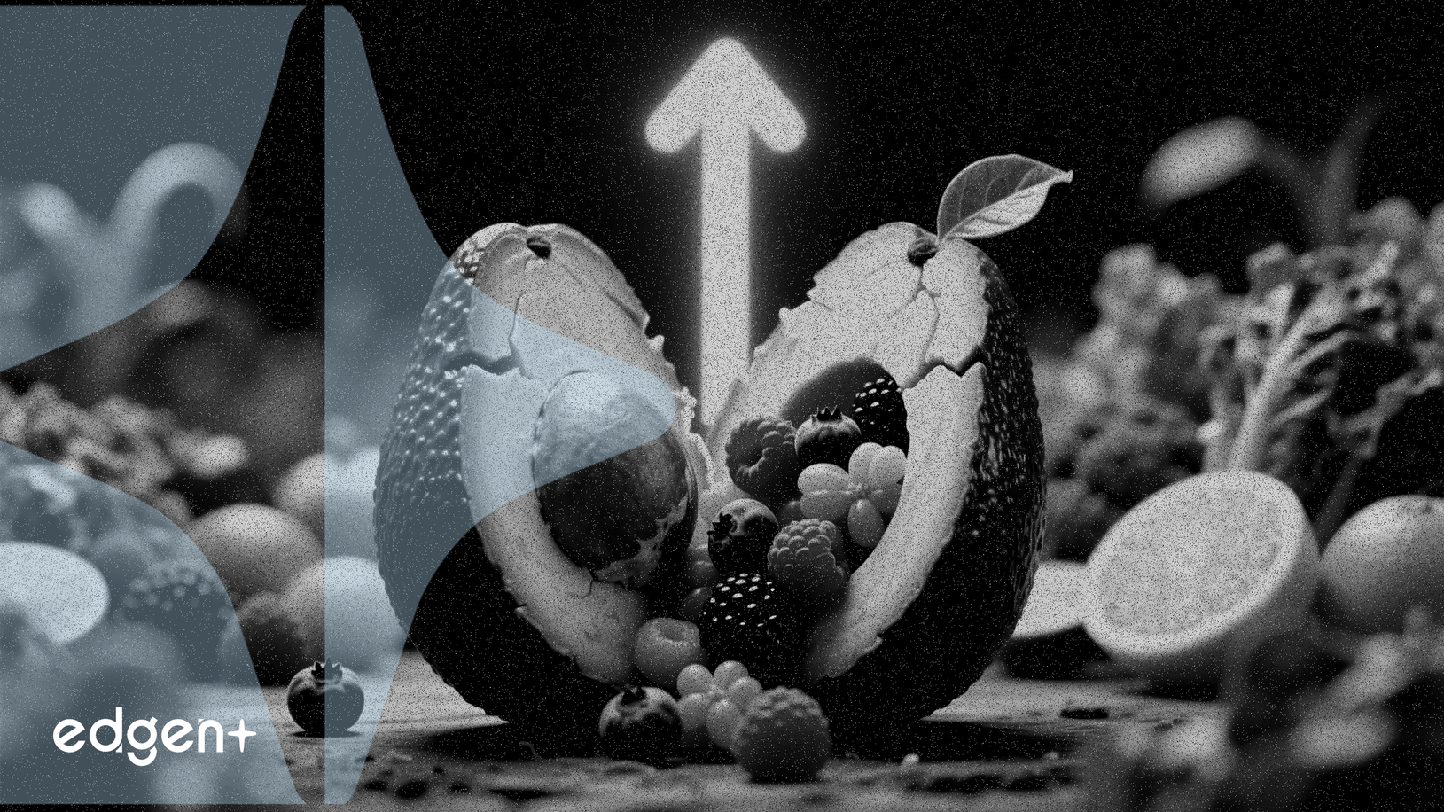 미션 프로듀스, 아보카도 외 사업 확장으로 매출 10% 성장