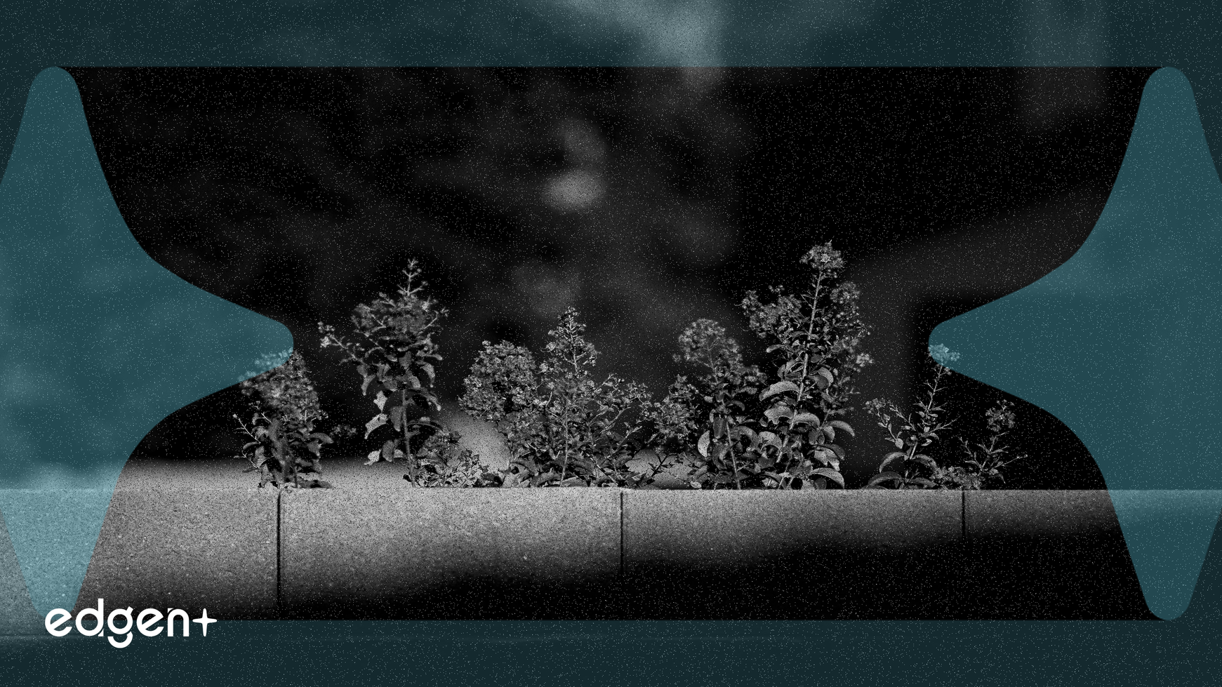 Pinterest presenta nuevos formatos de anuncios y recibe una calificación de compra reafirmada