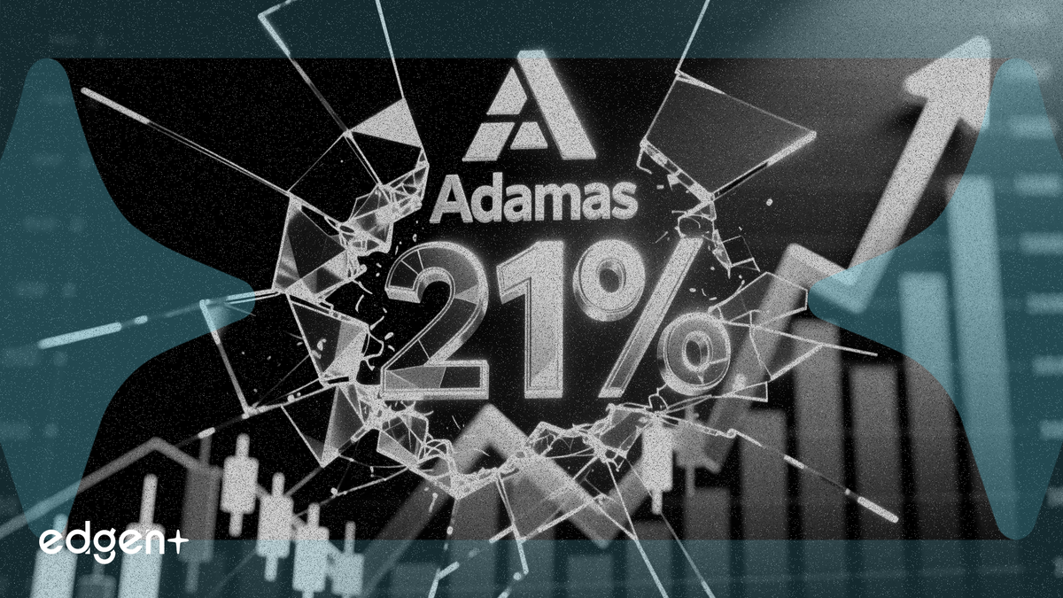 Adamas Trust 第一季度收益超预期 21%，股价应声上涨