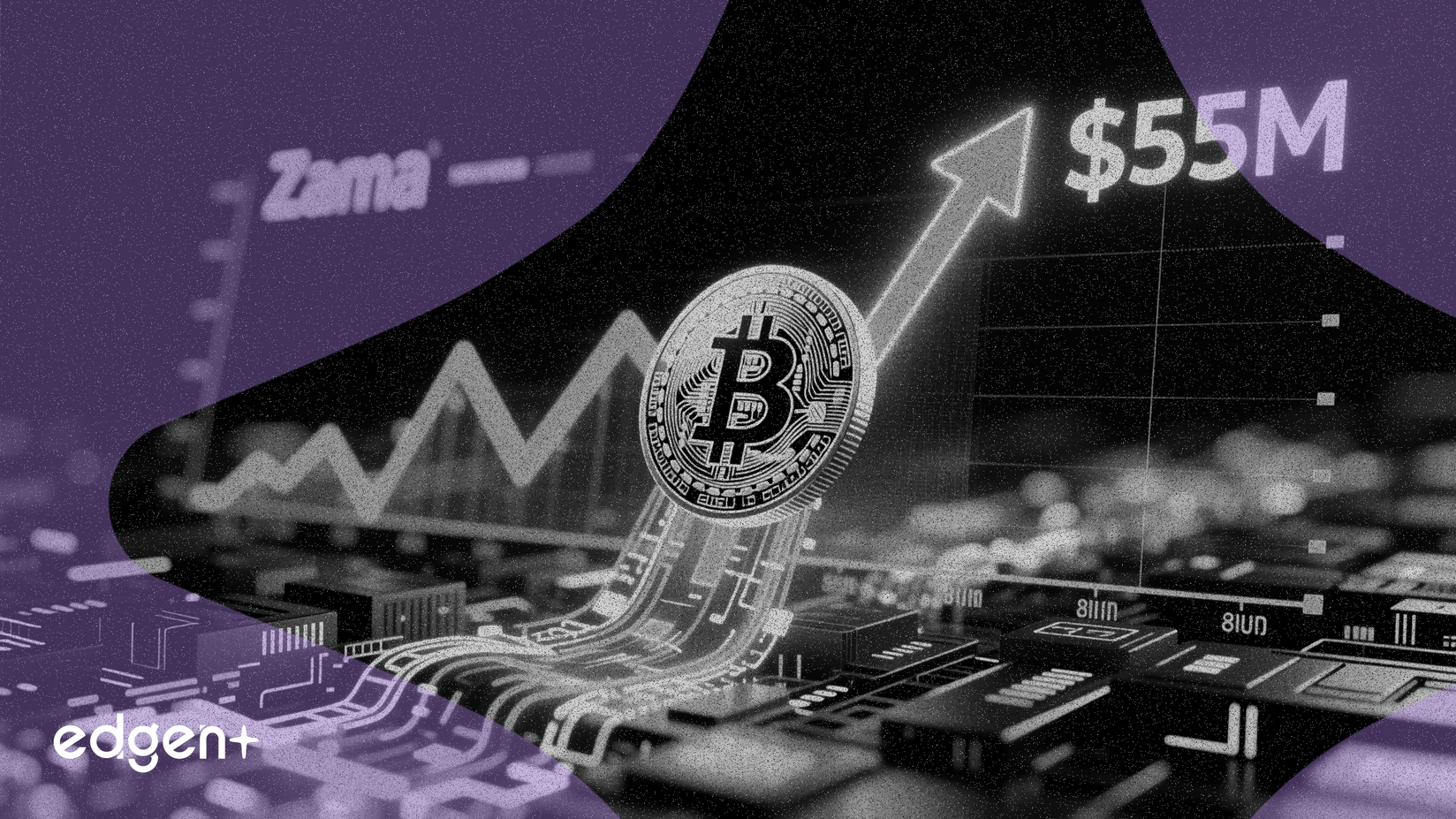 Zama Targets $55 Million Valuation in Public Token Sale
