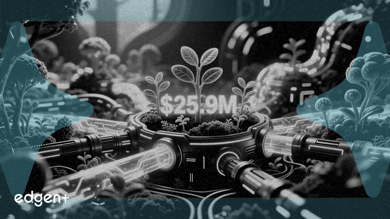 Superorganism Cierra Fondo de 25,9 Millones de Dólares para Startups de Biodiversidad